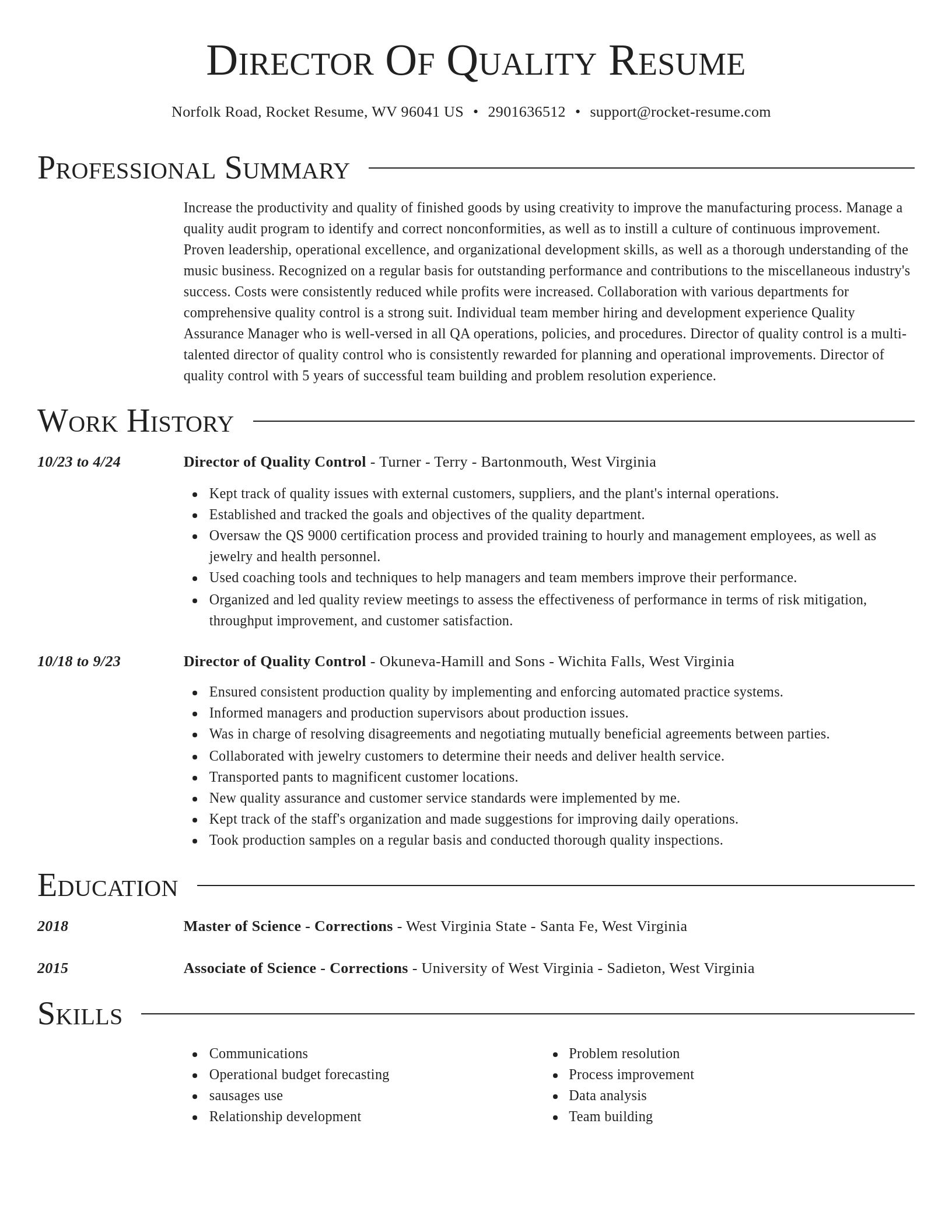 Director resume template