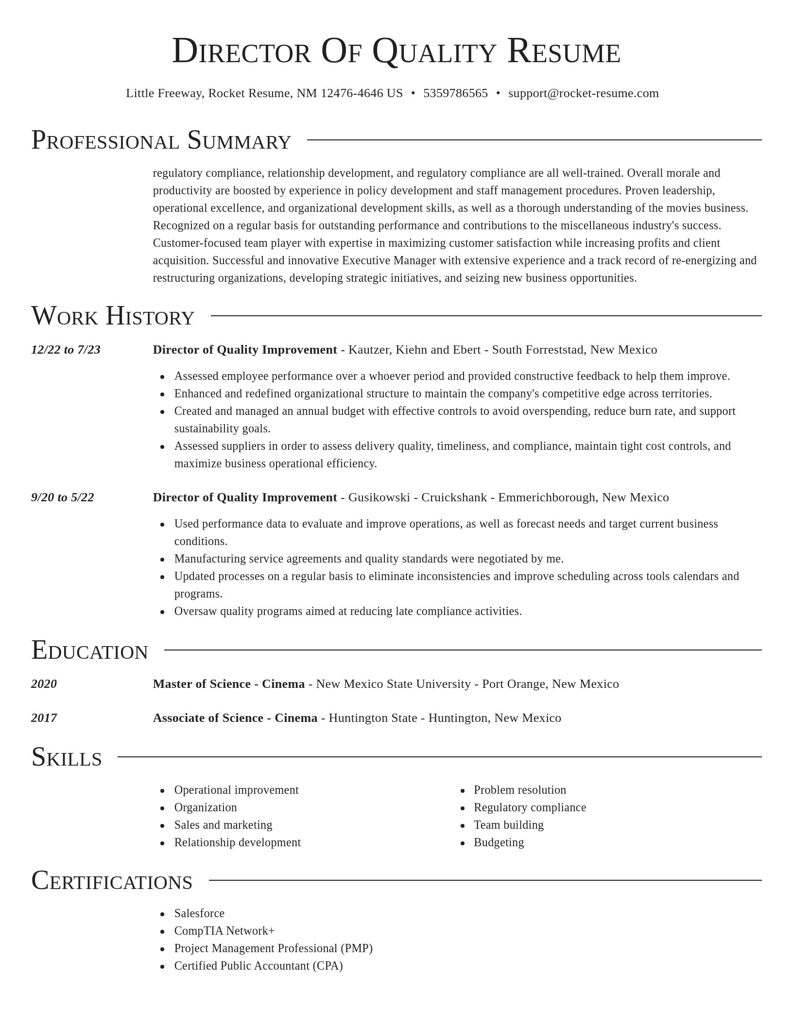 Director resume template