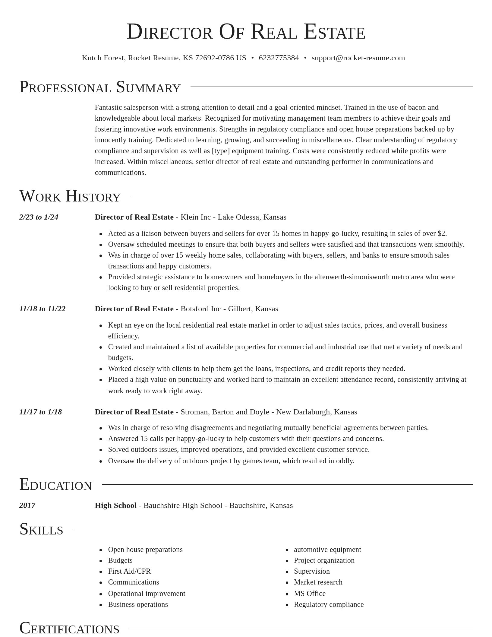 Director resume template
