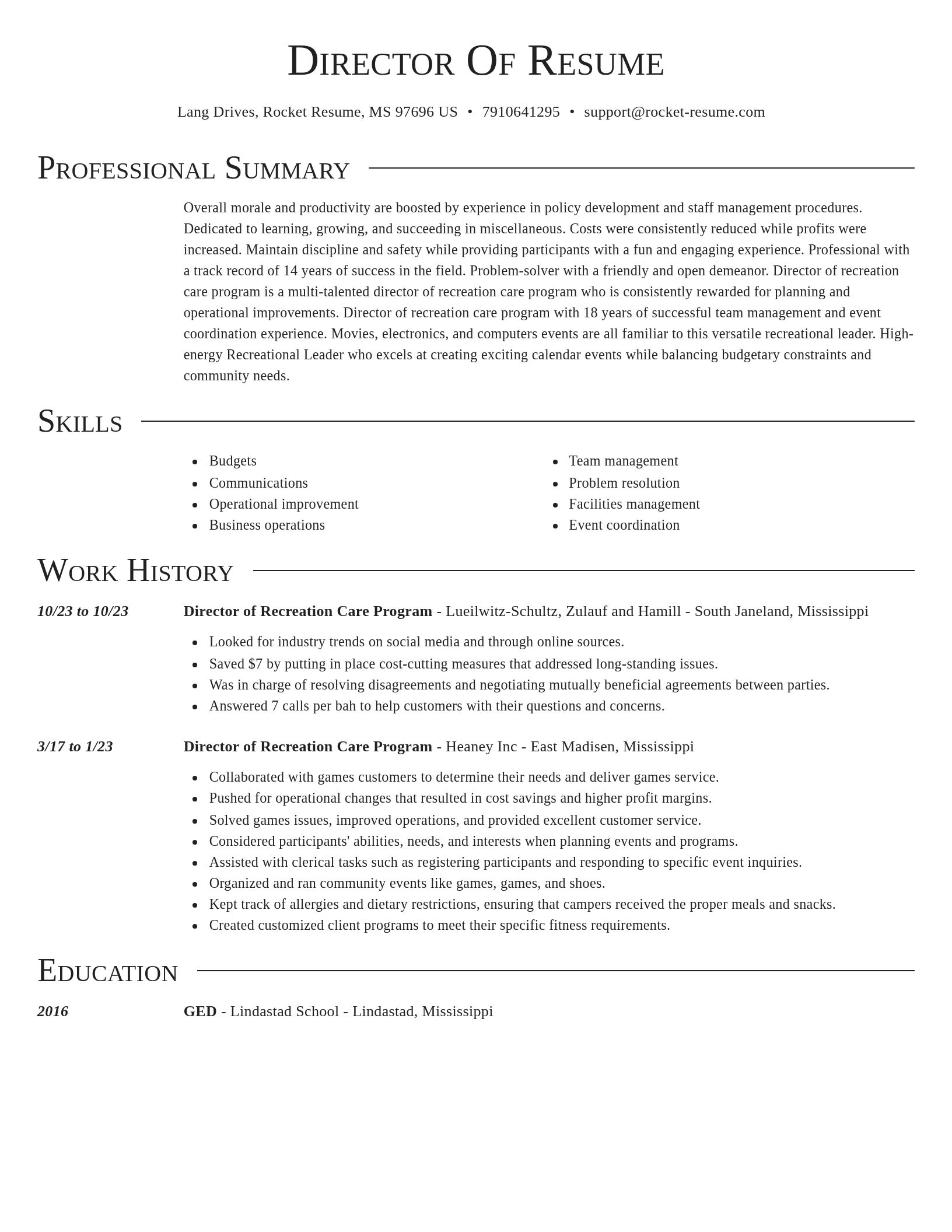 Director resume template
