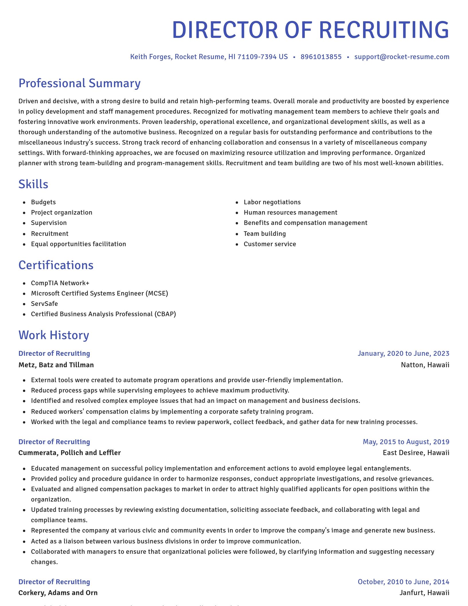 Novel resume template