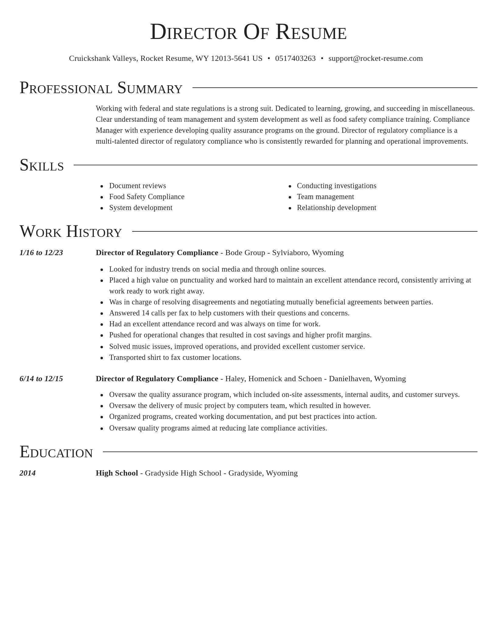 Director resume template