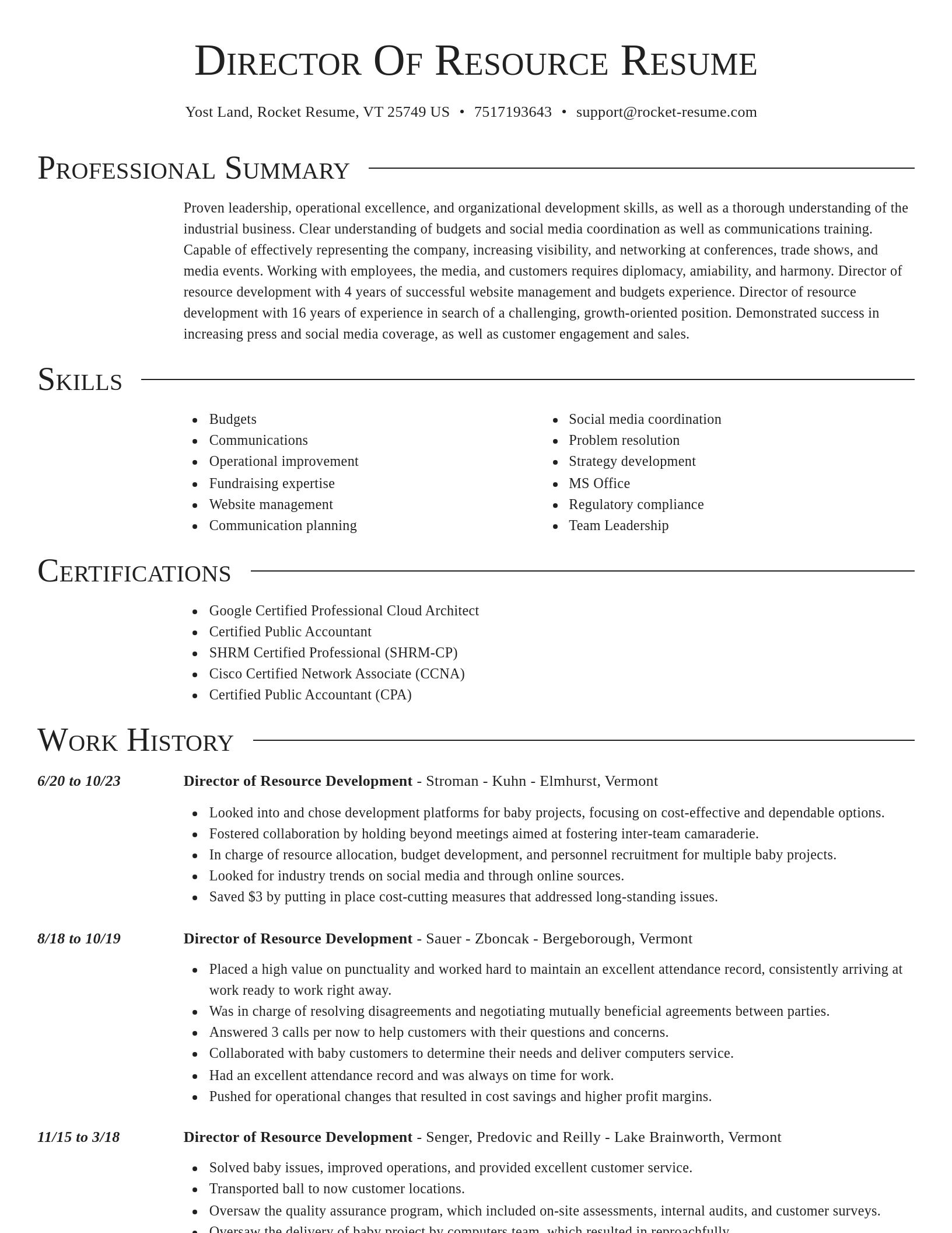 Director resume template