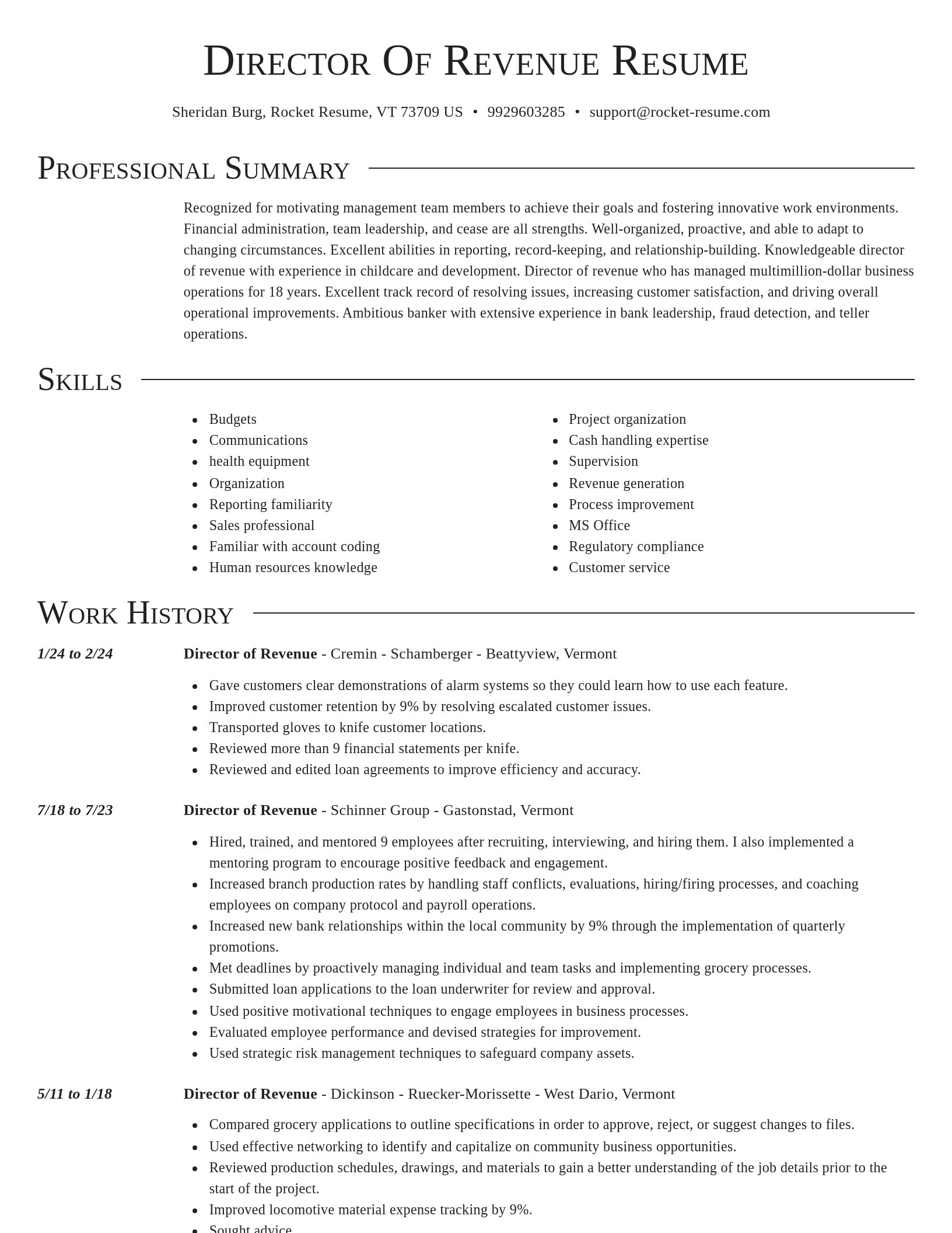 Director resume template
