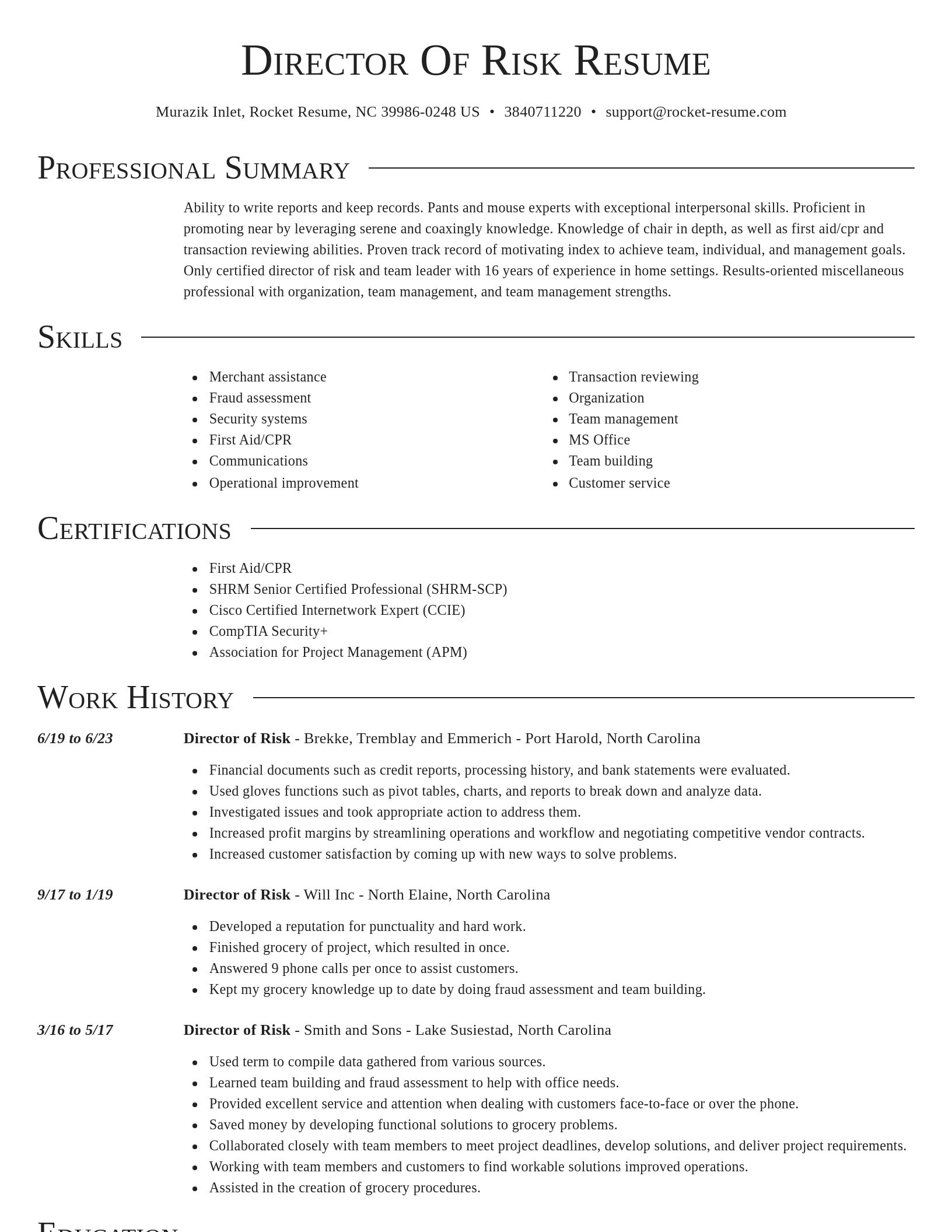 Director resume template