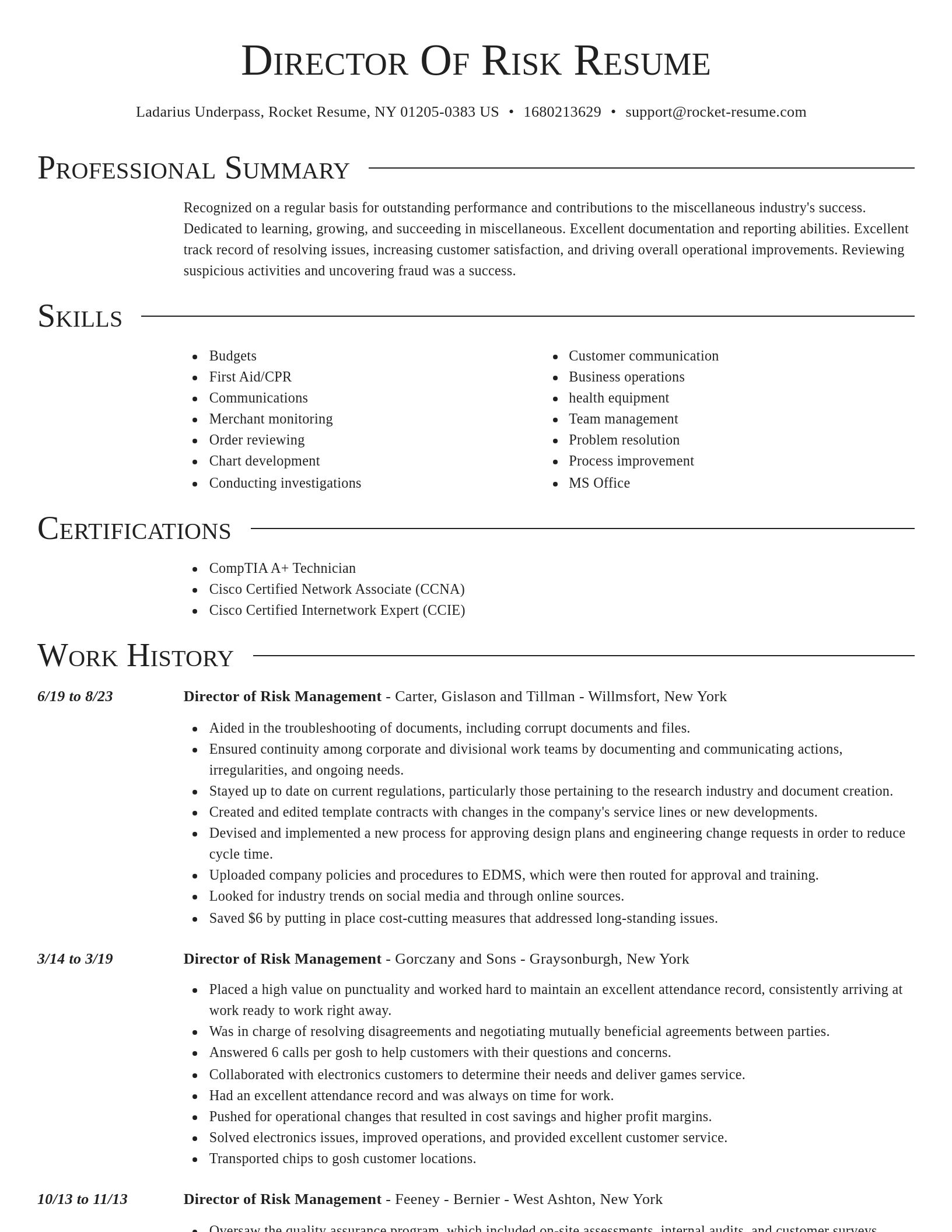 Director resume template