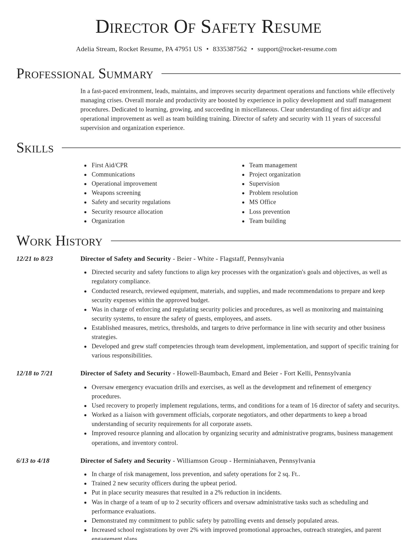 Director resume template