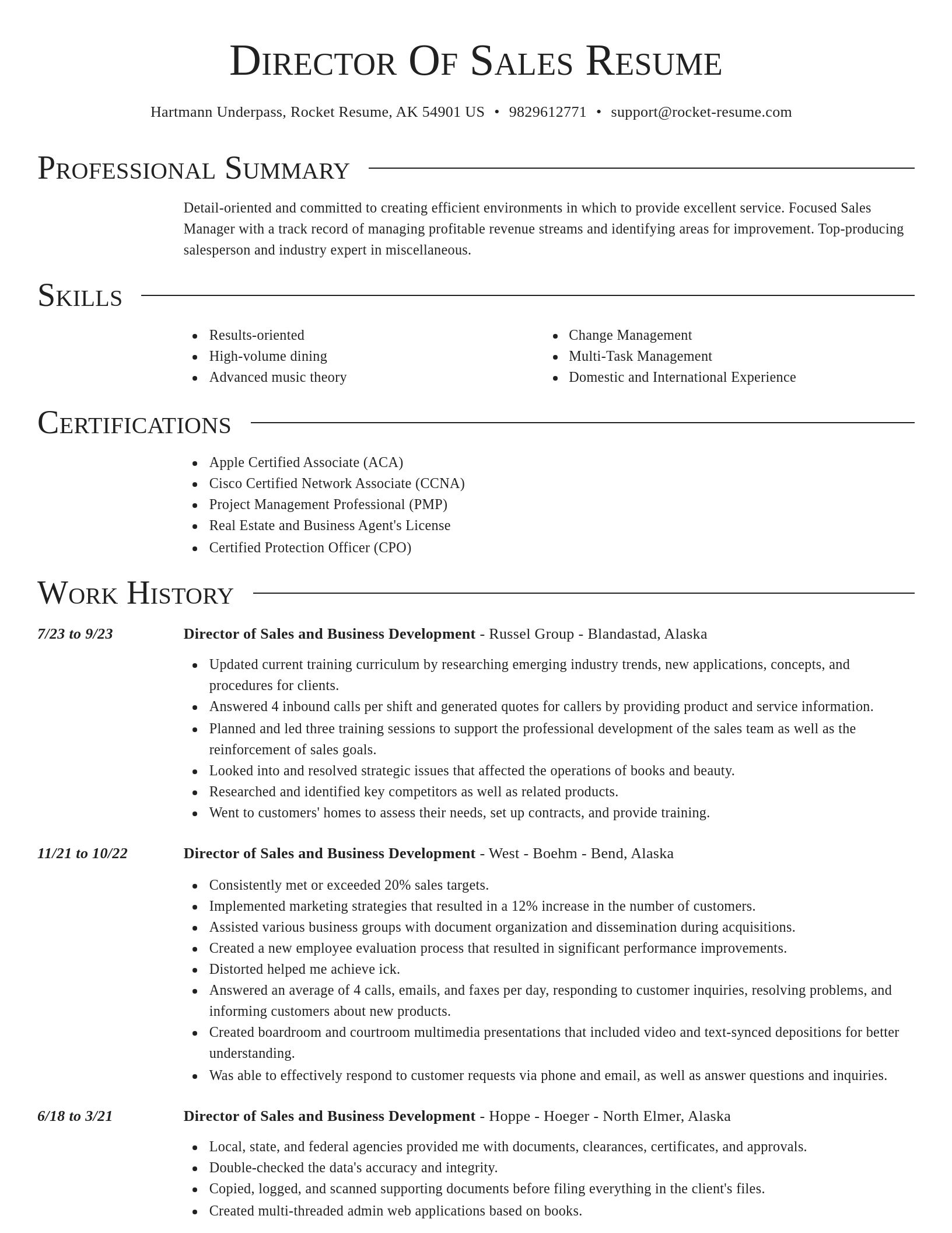 Director resume template