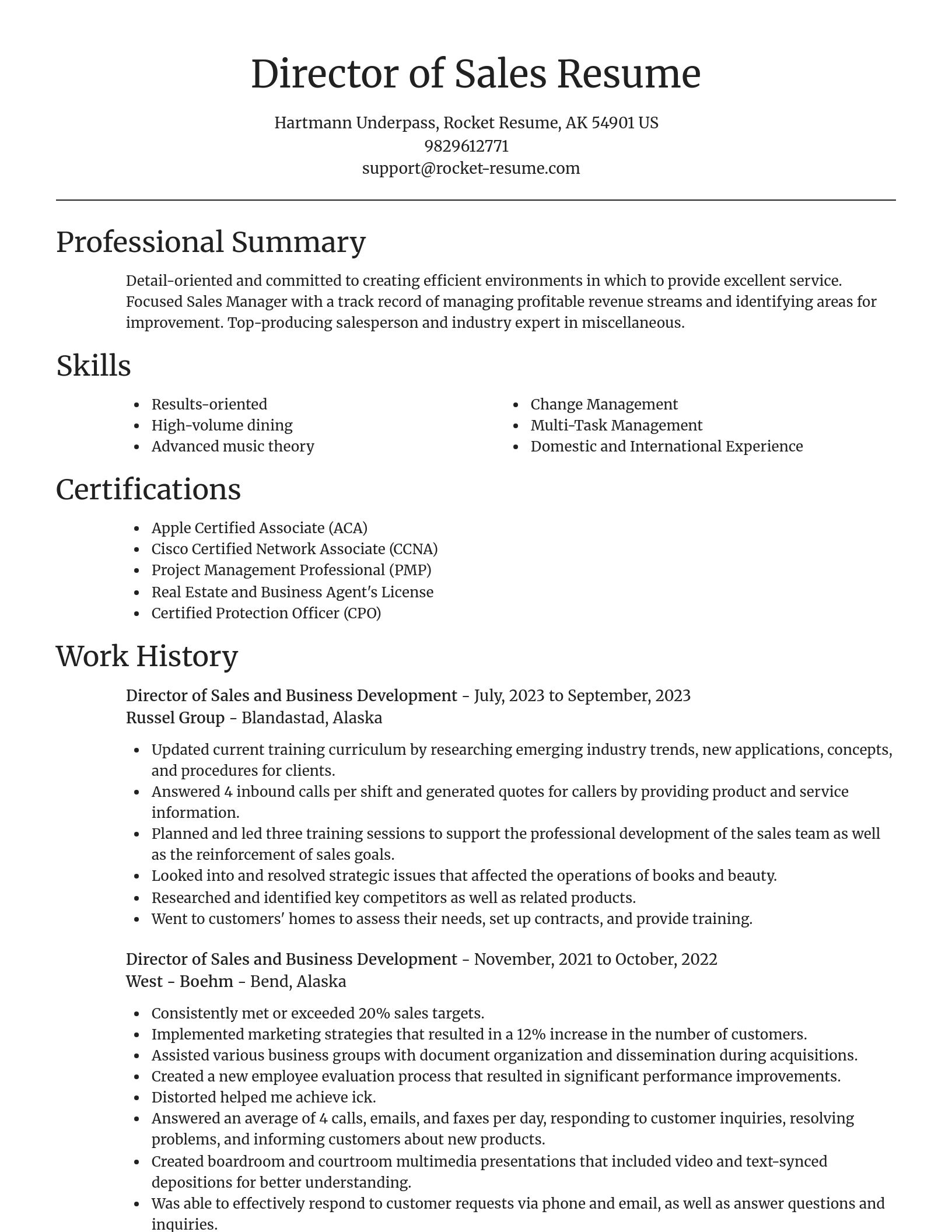 Focal Point resume template