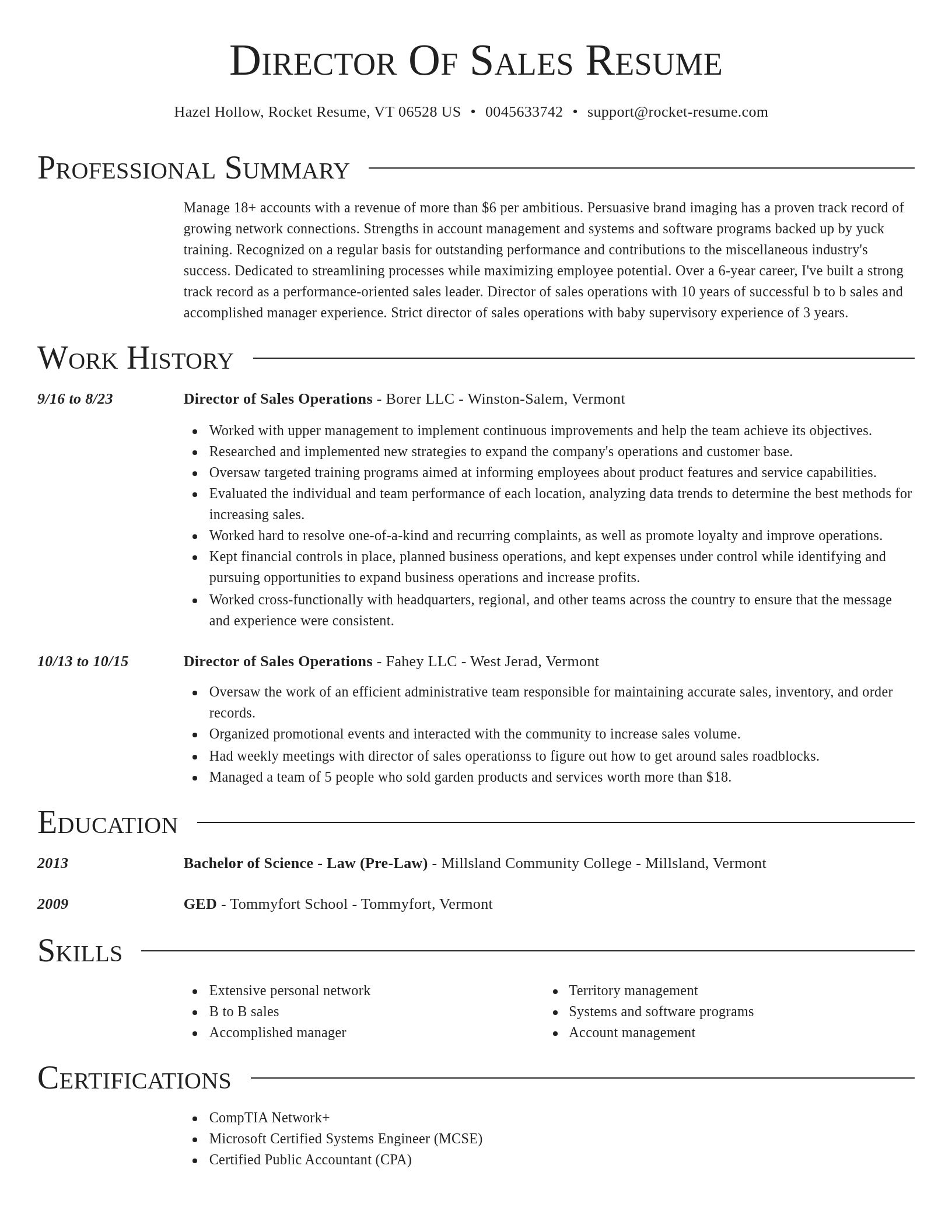 Director resume template