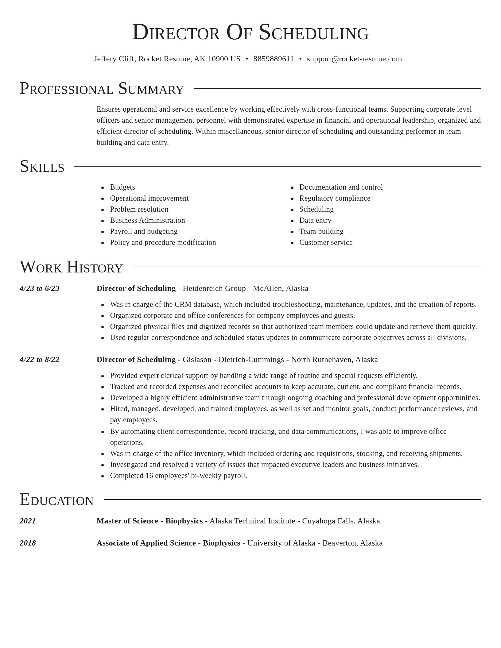 Director resume template