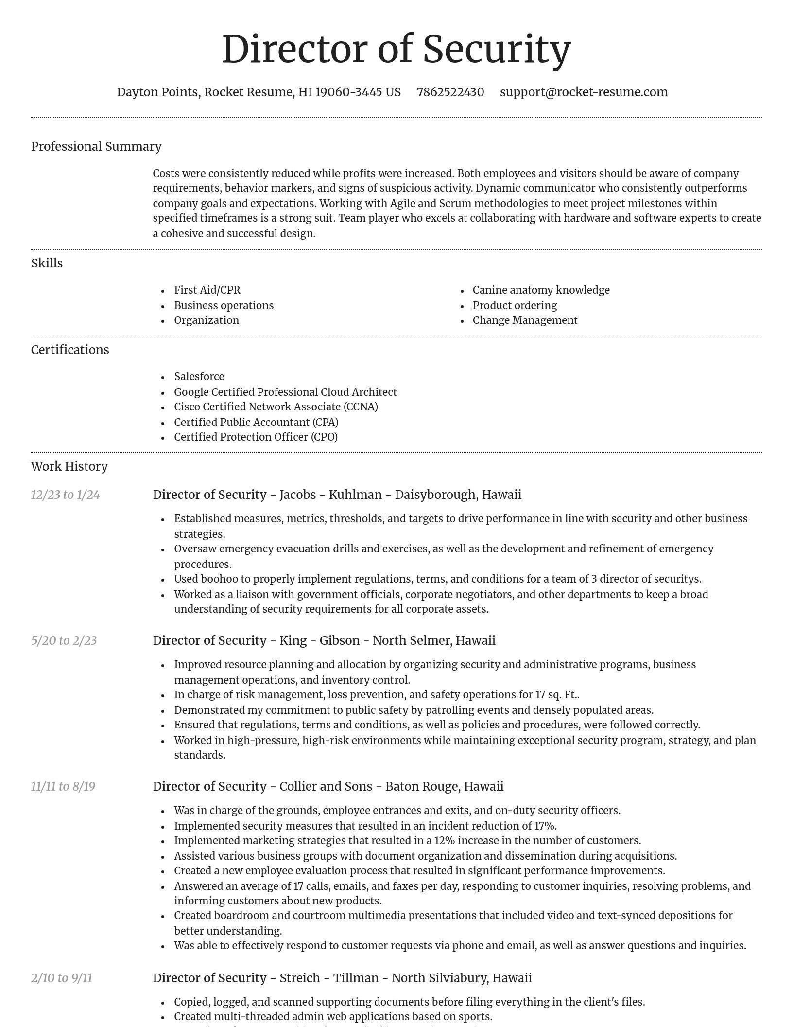 Dignified resume template