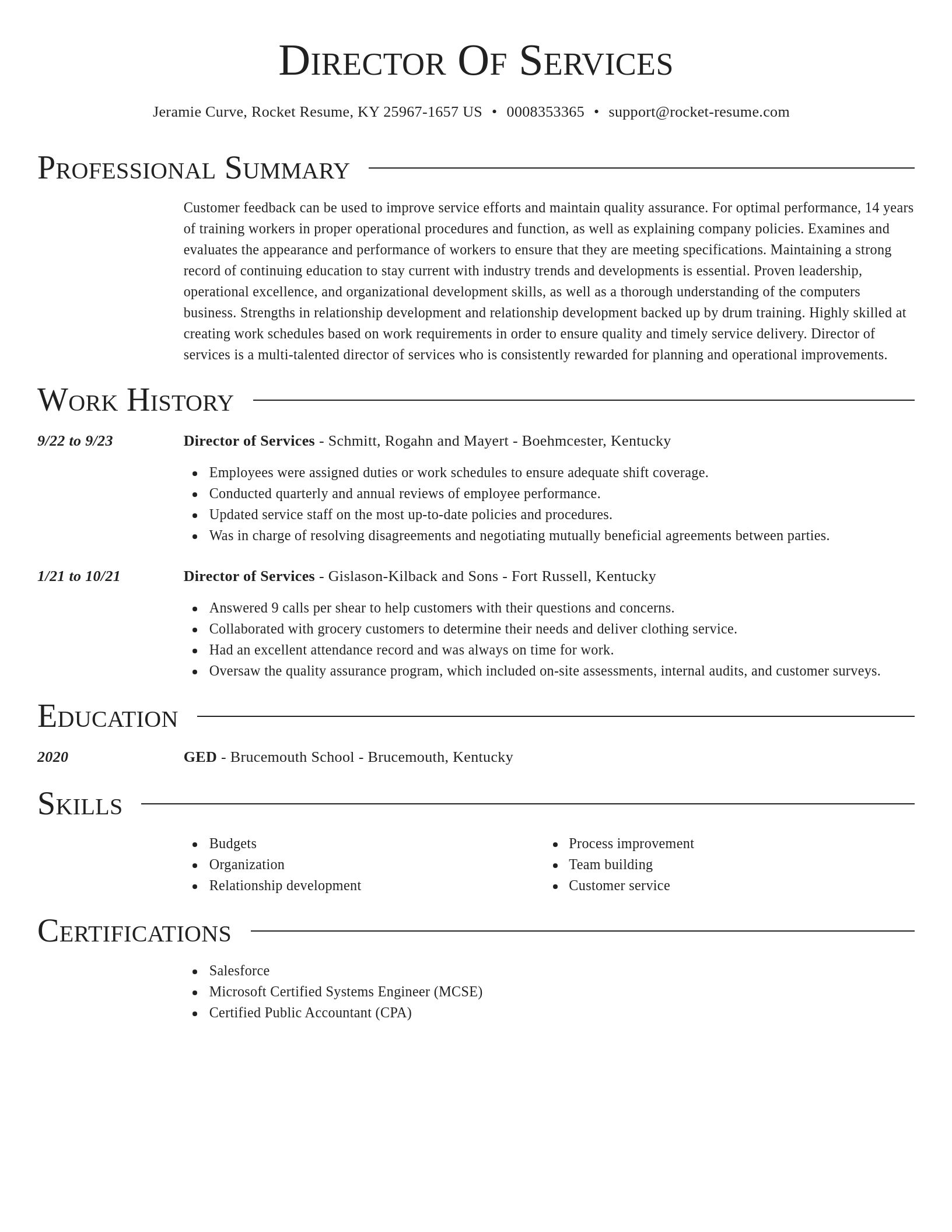 Director resume template