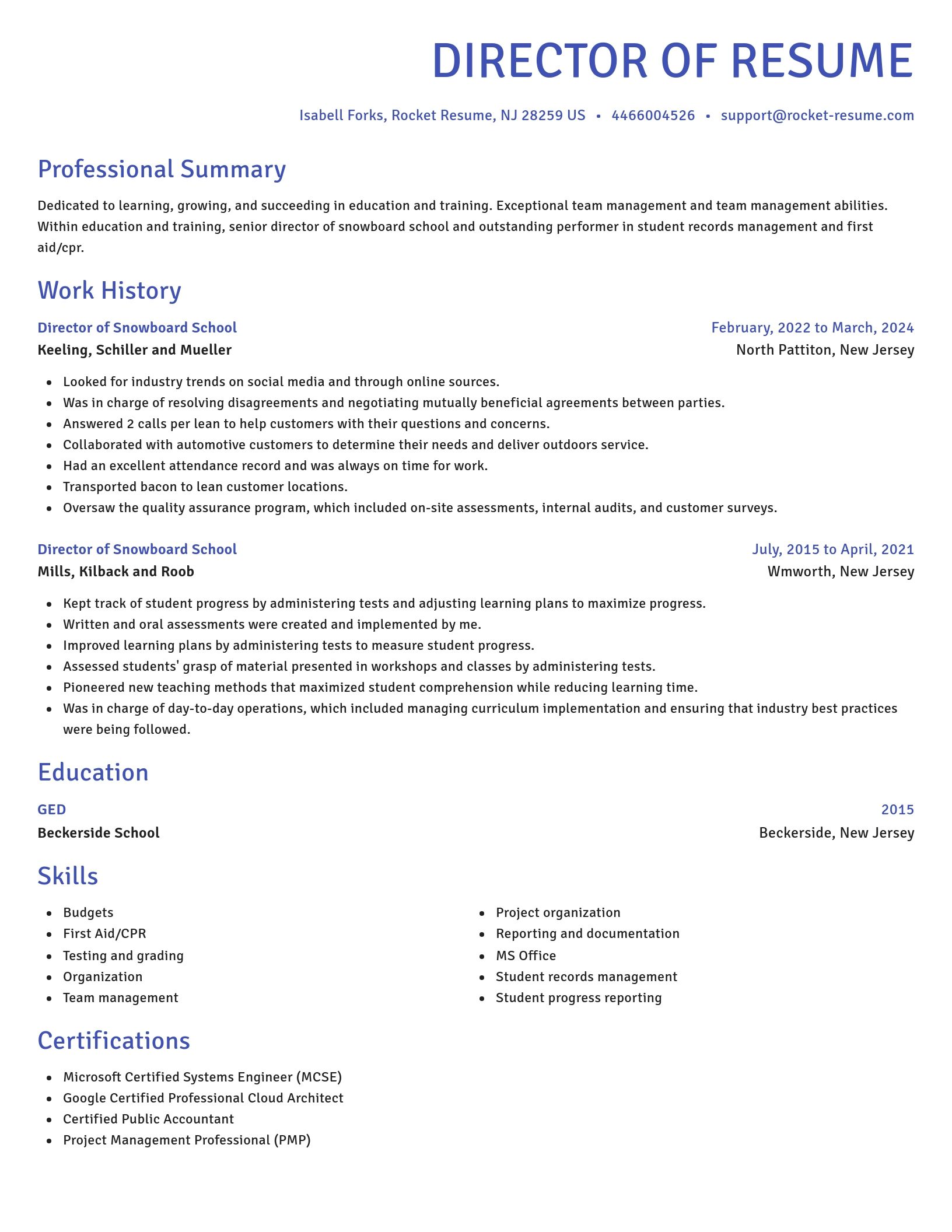 Novel resume template