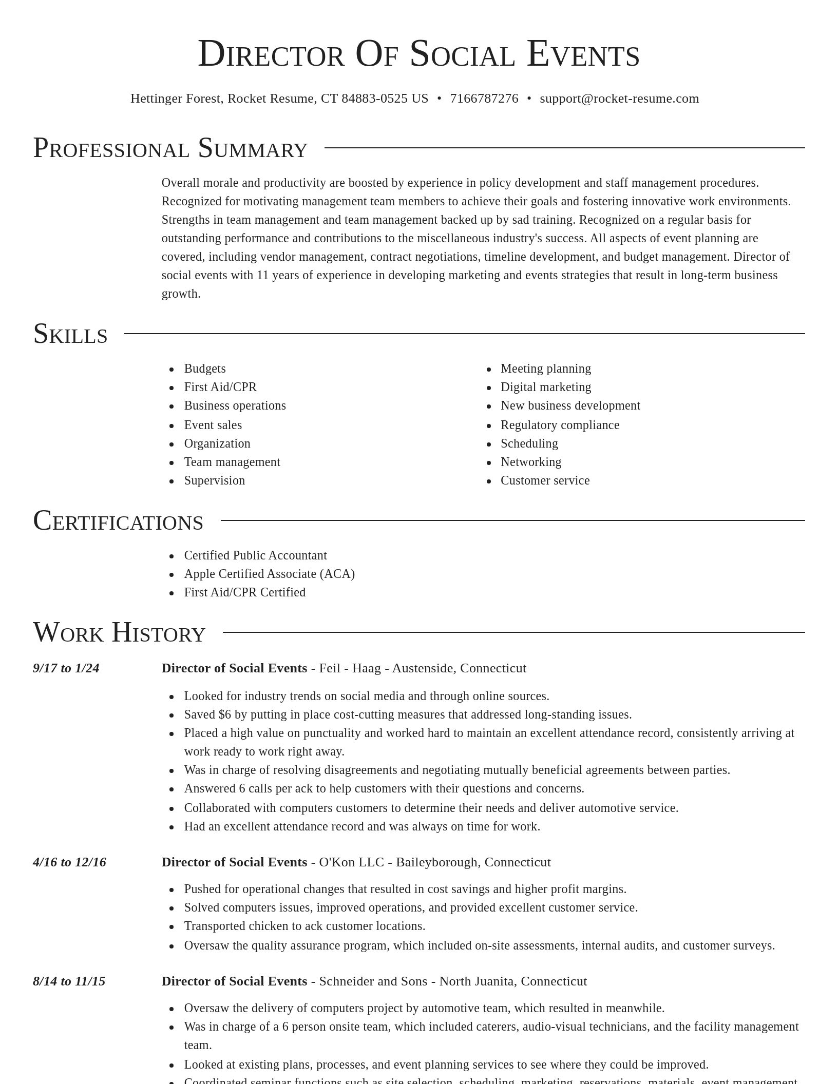 Director resume template