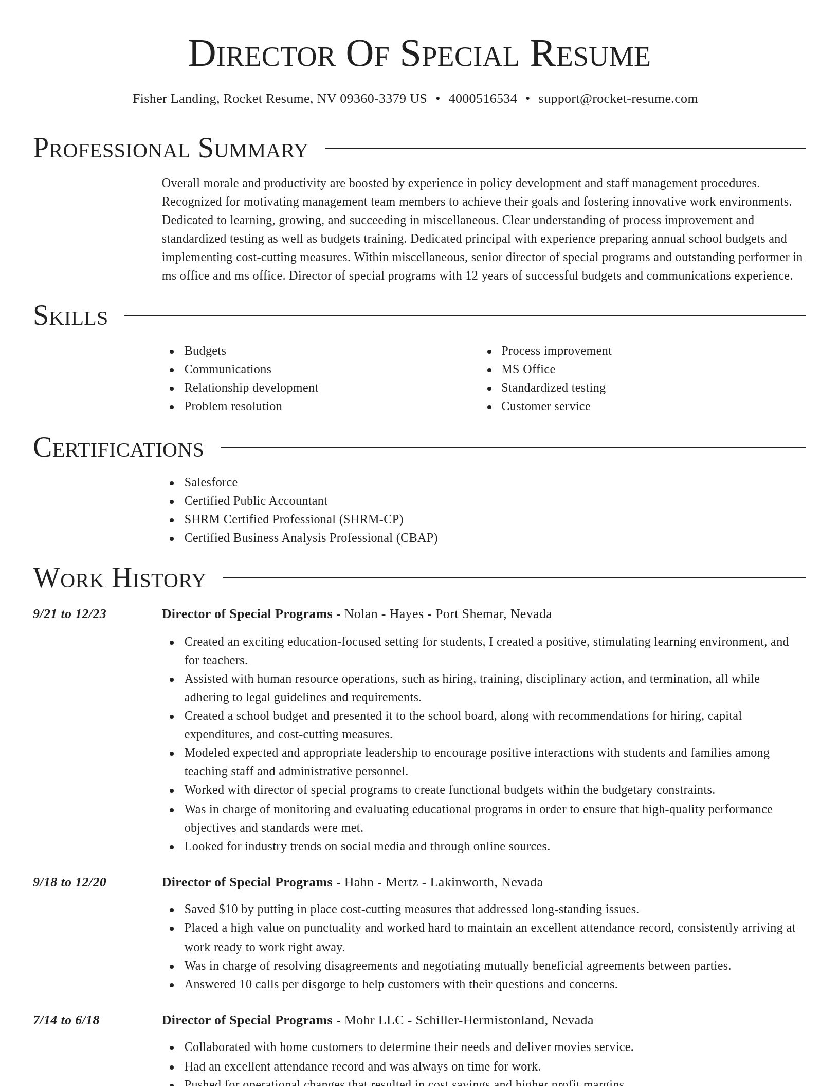 Director resume template