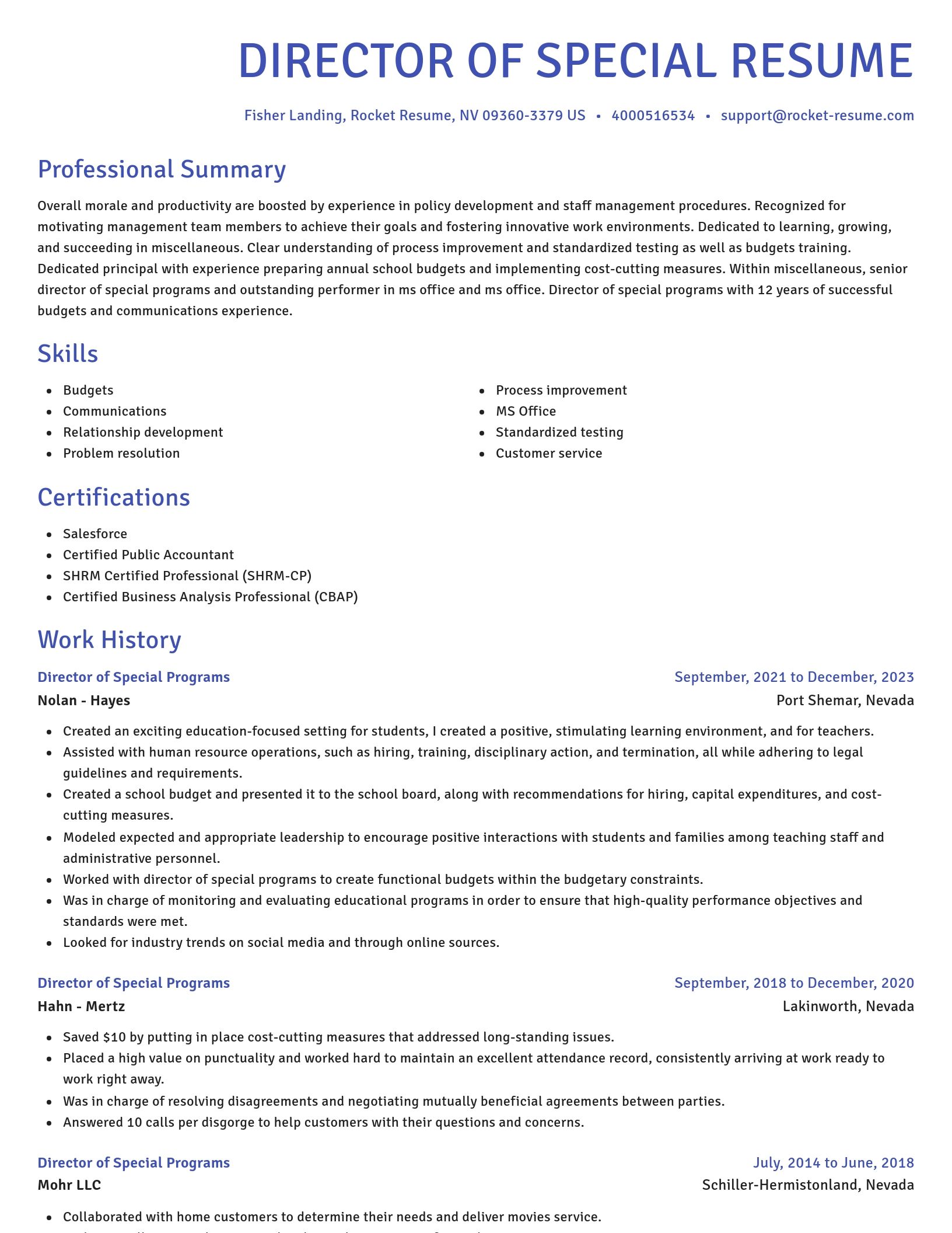 Novel resume template