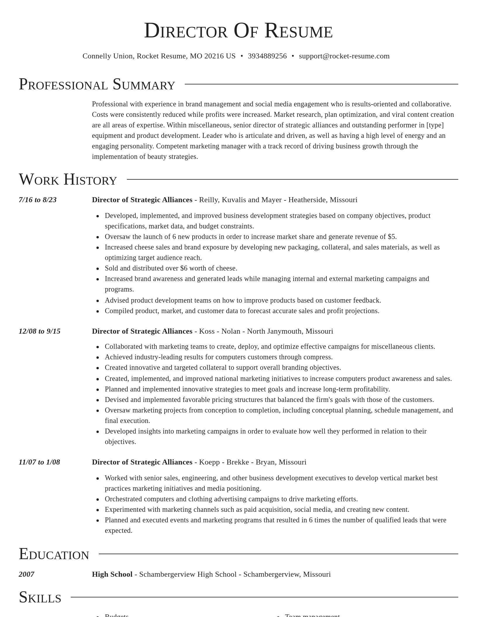 Director resume template