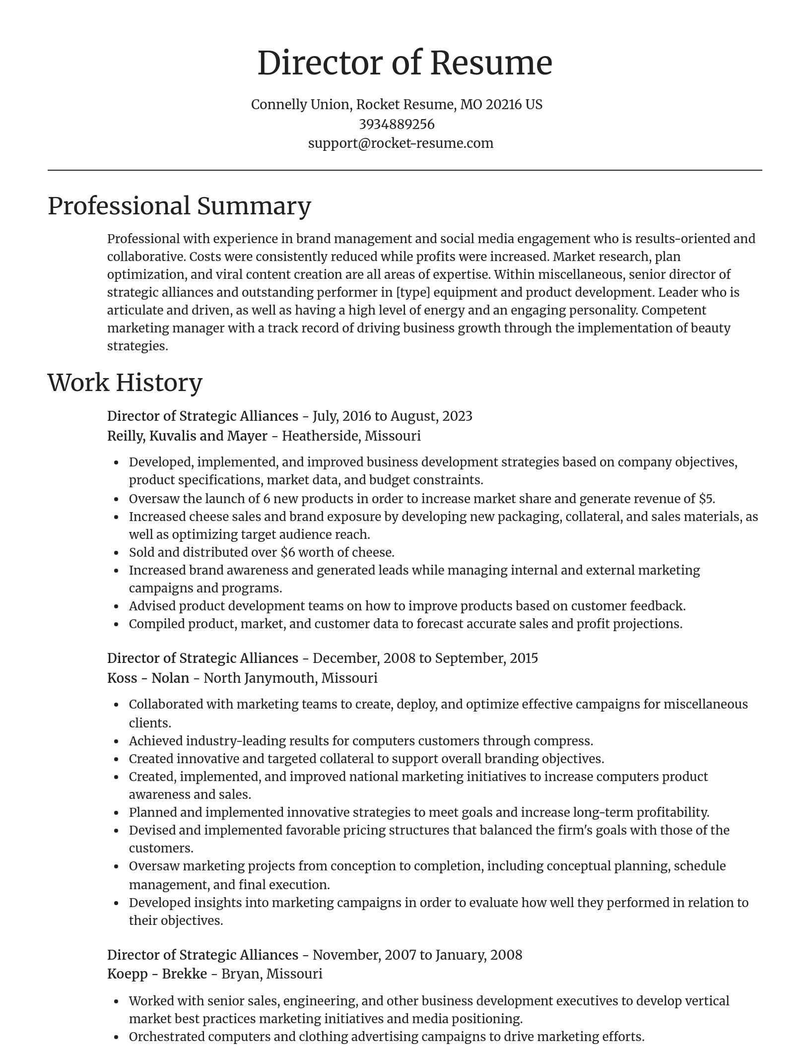 Focal Point resume template