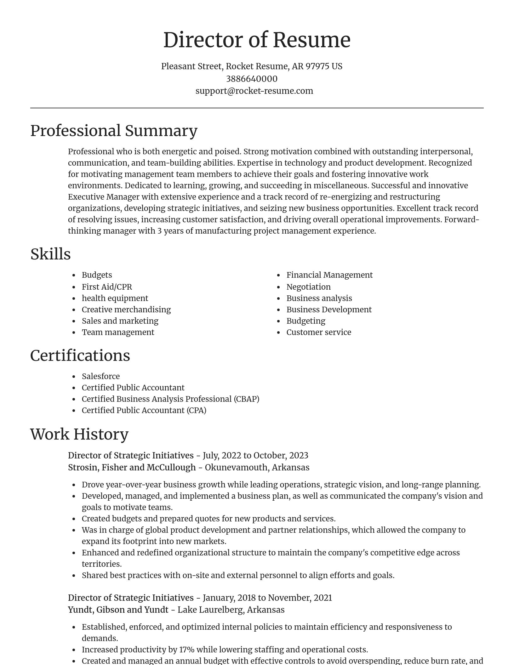 Focal Point resume template