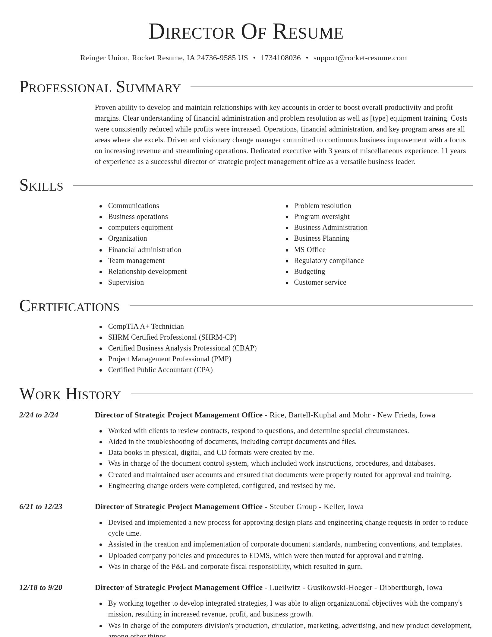 Director resume template