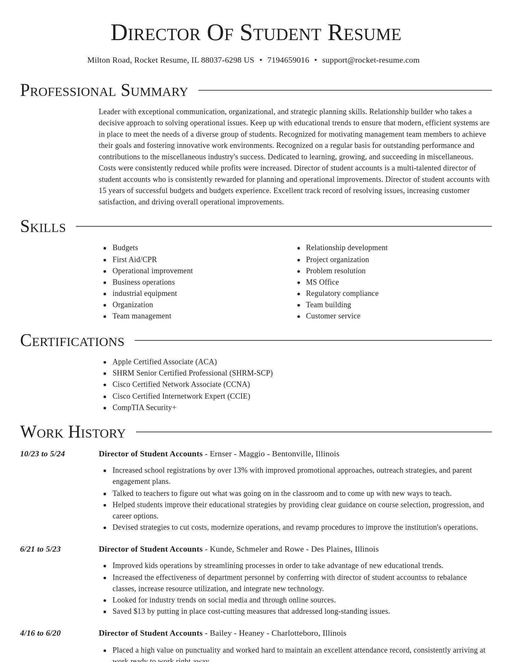 Director resume template