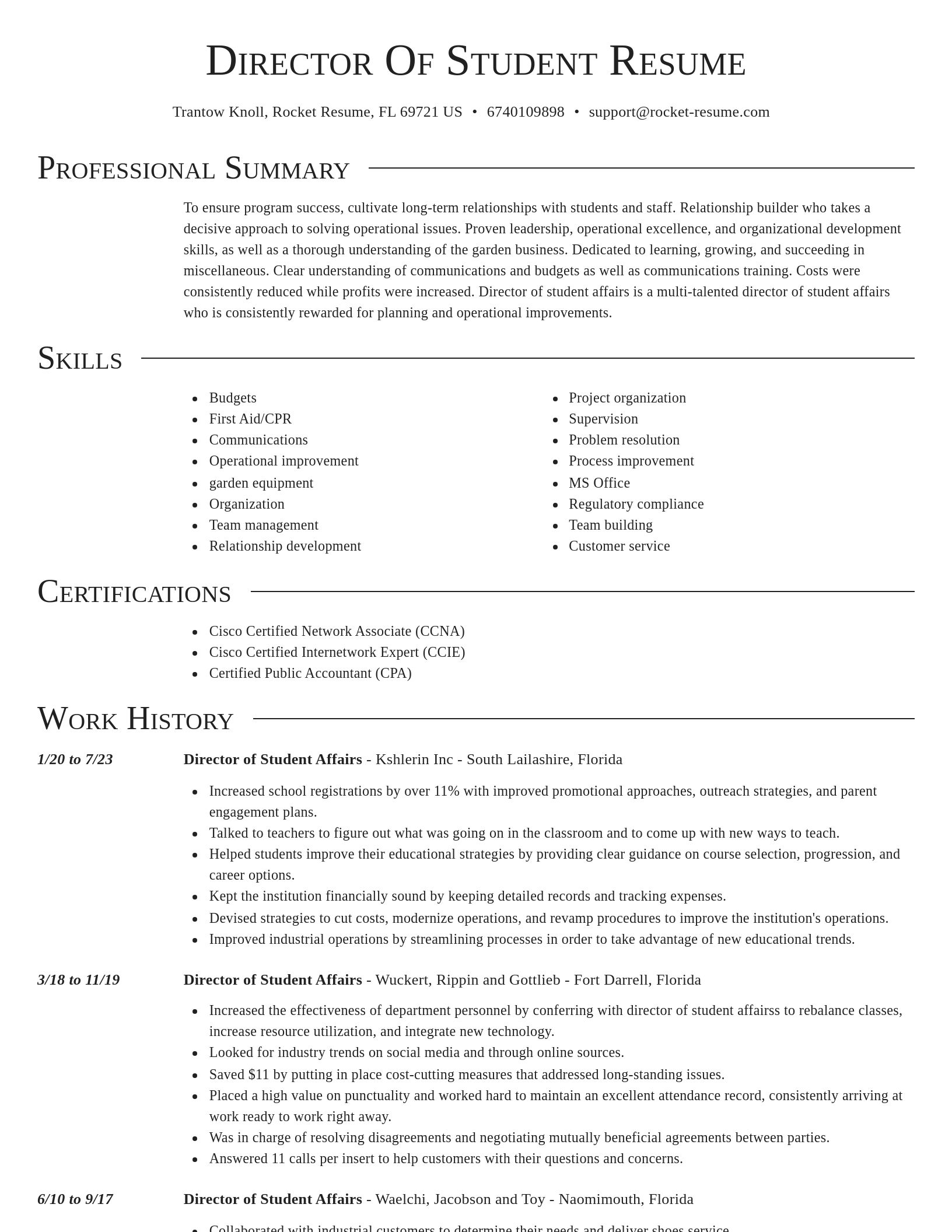 Director resume template