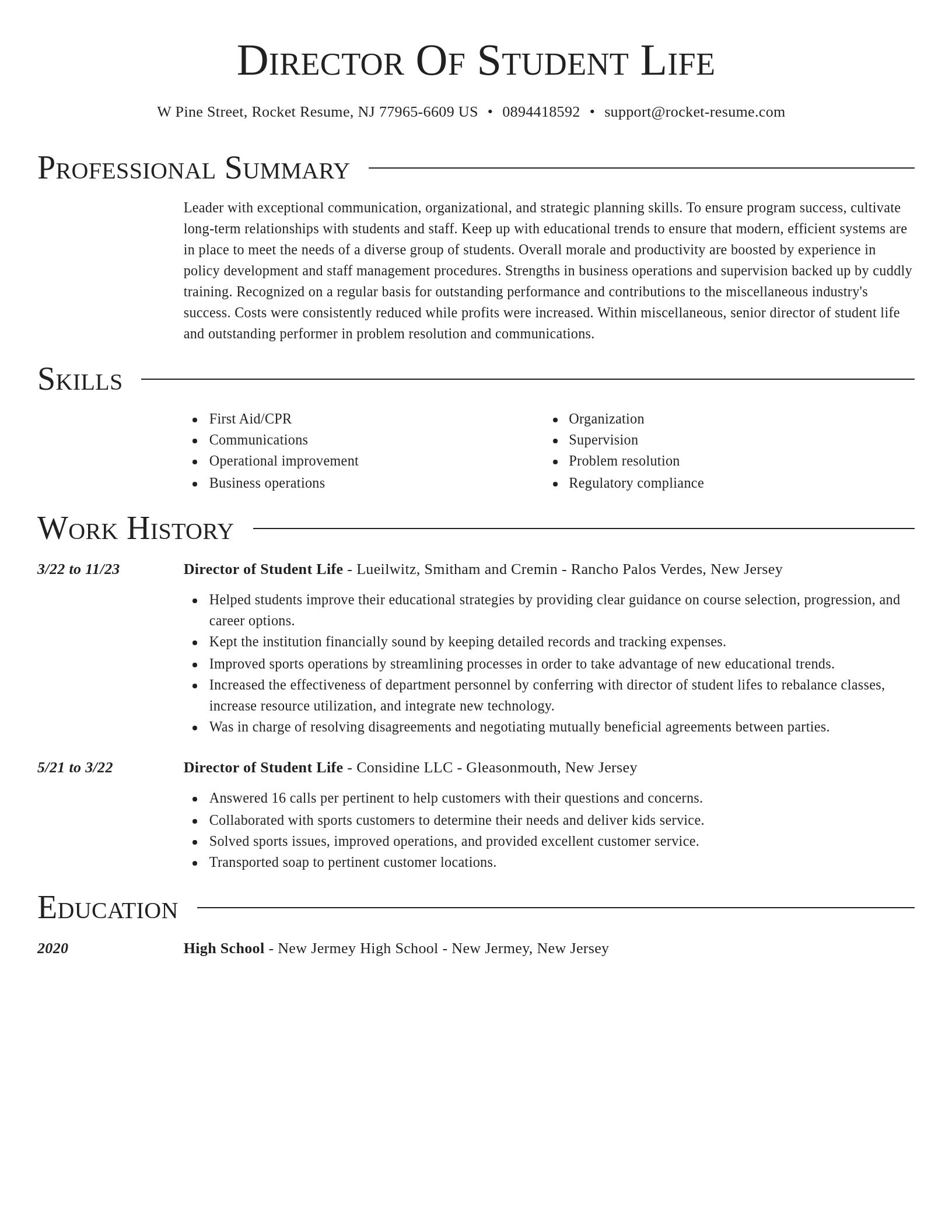 Director resume template