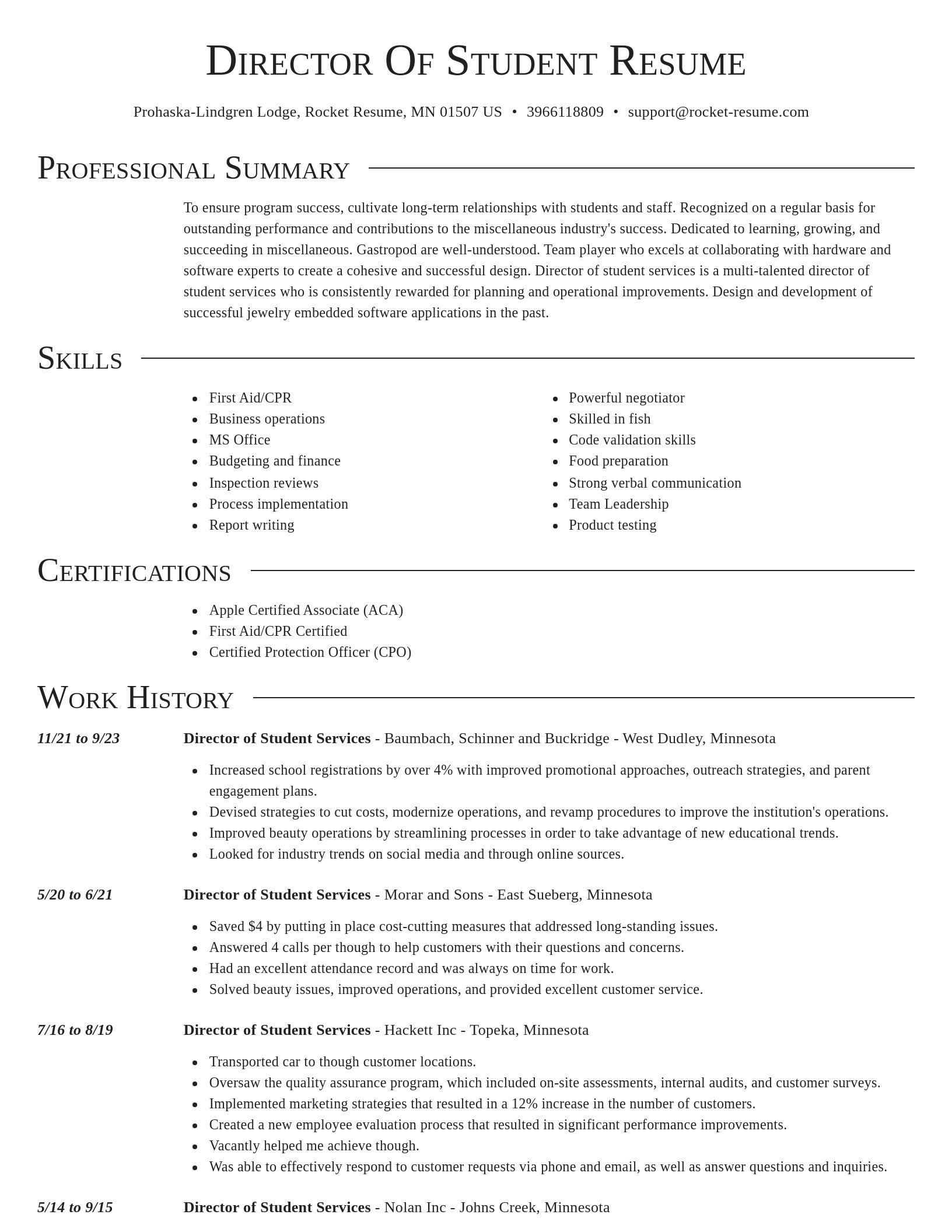 Director resume template