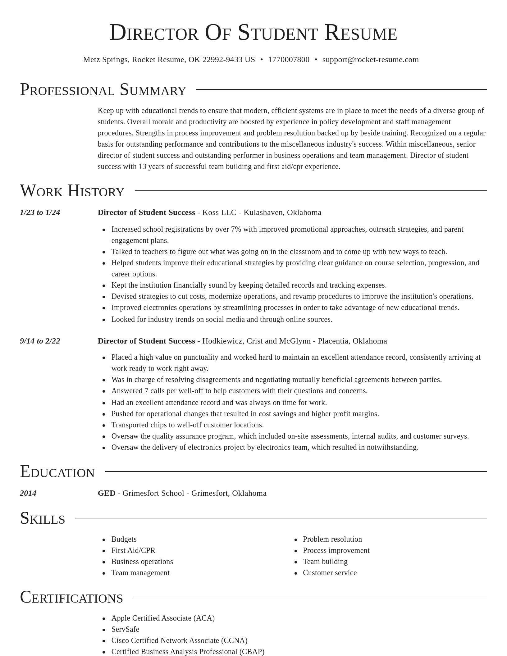 Director resume template