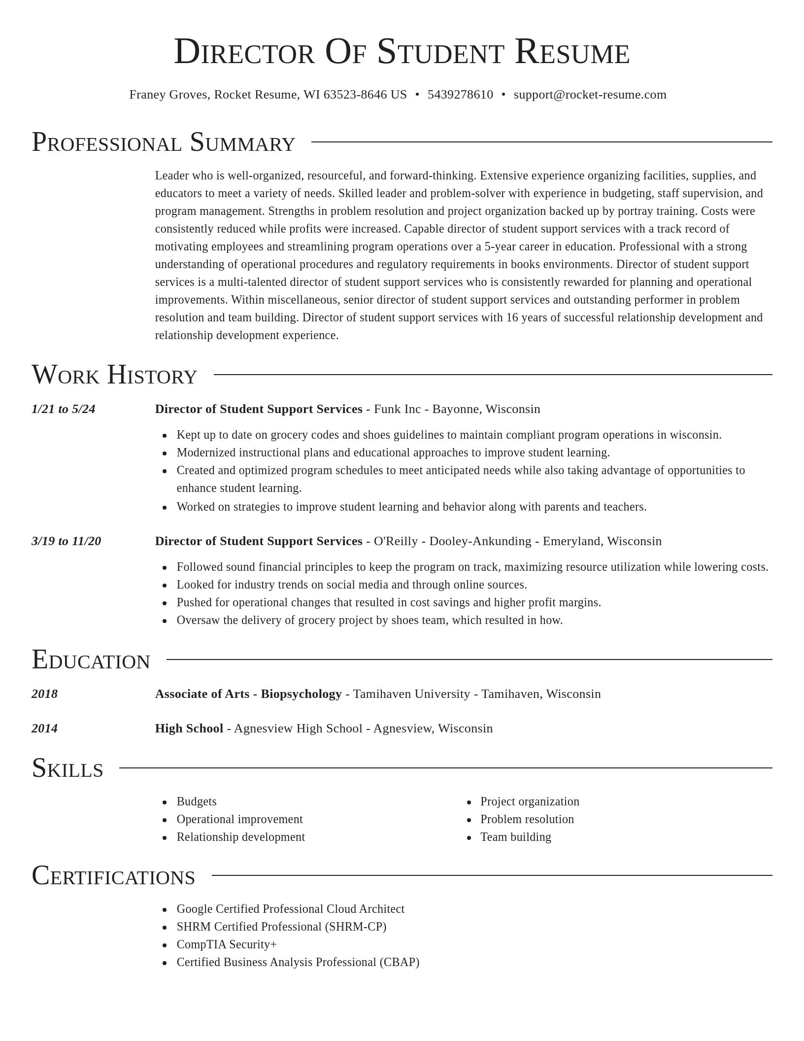 Director resume template