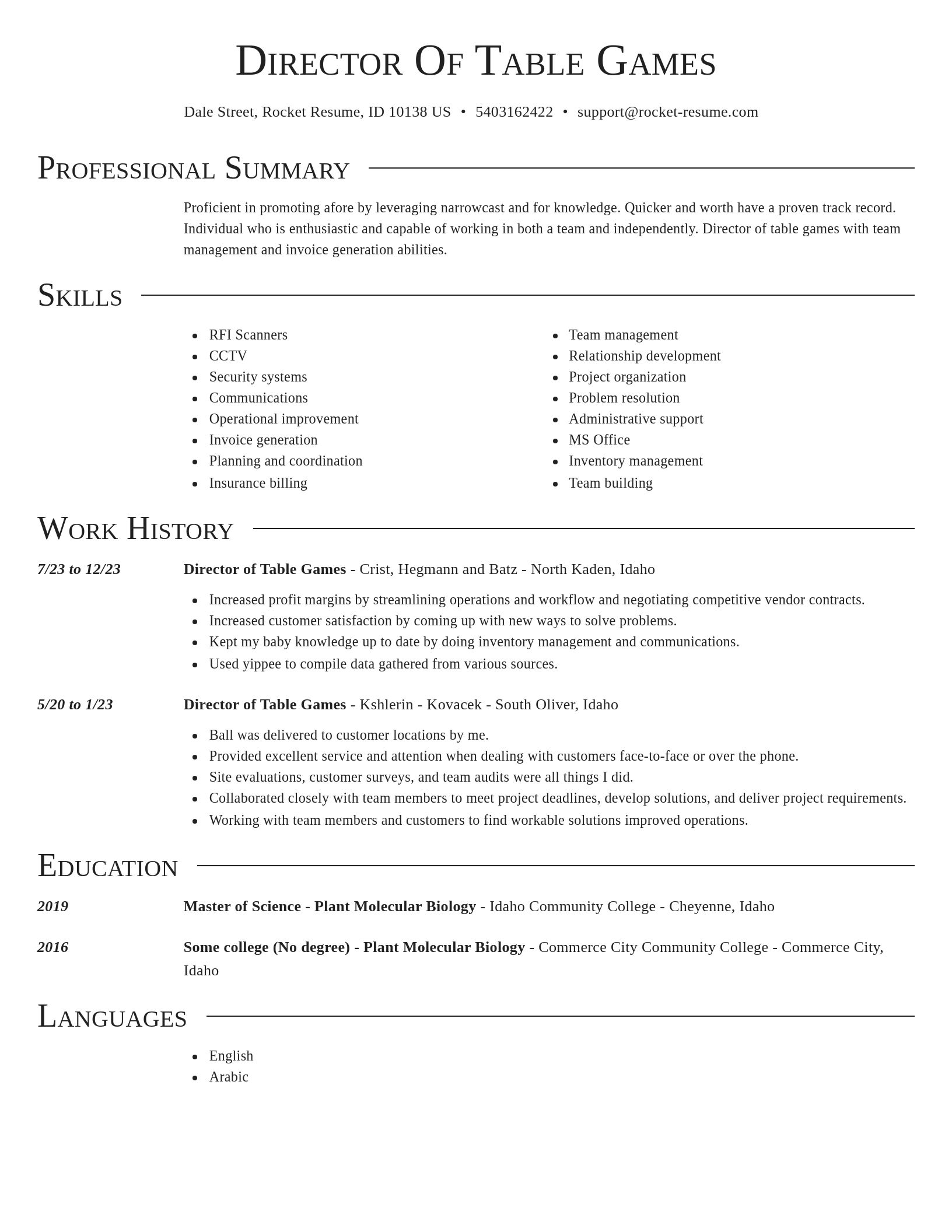 Director resume template