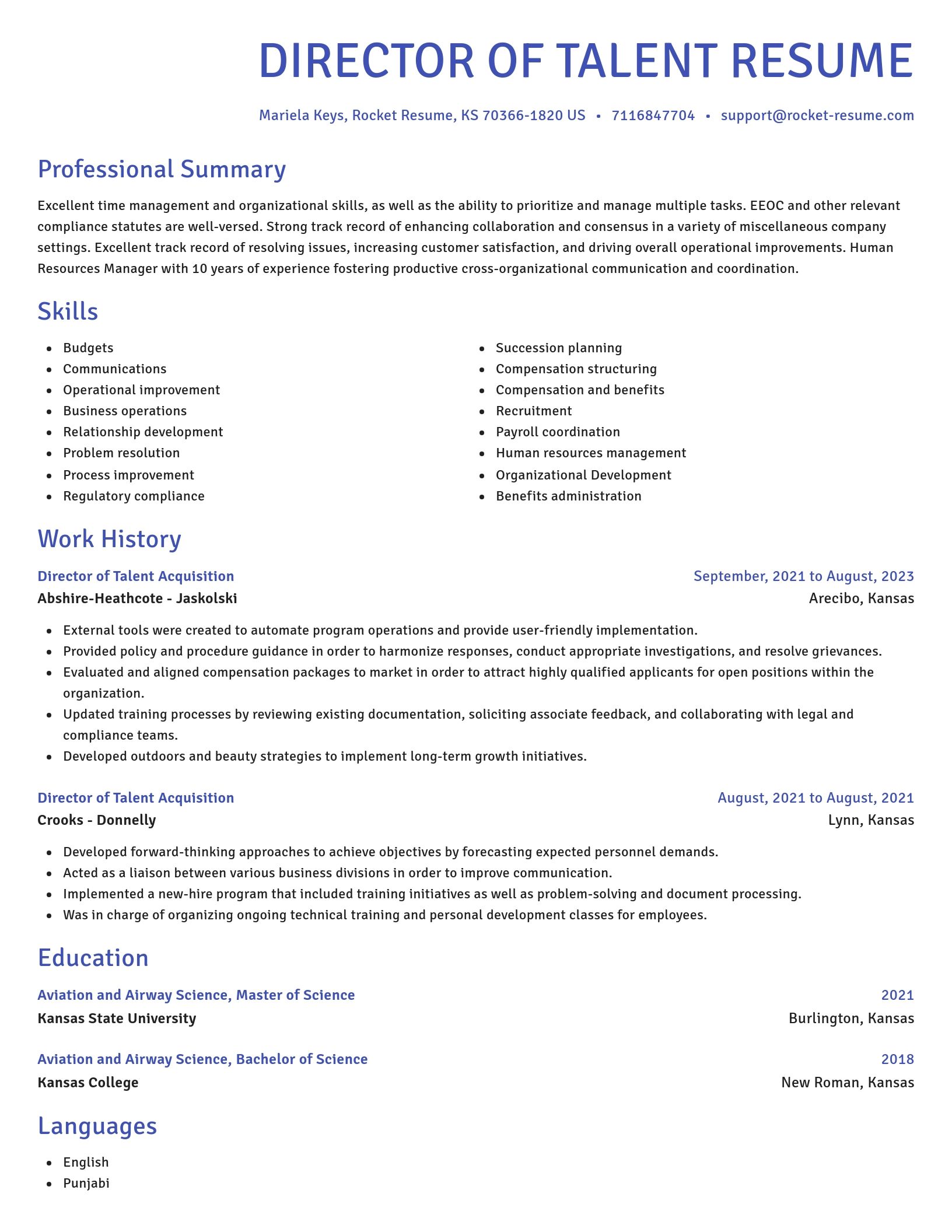 Novel resume template
