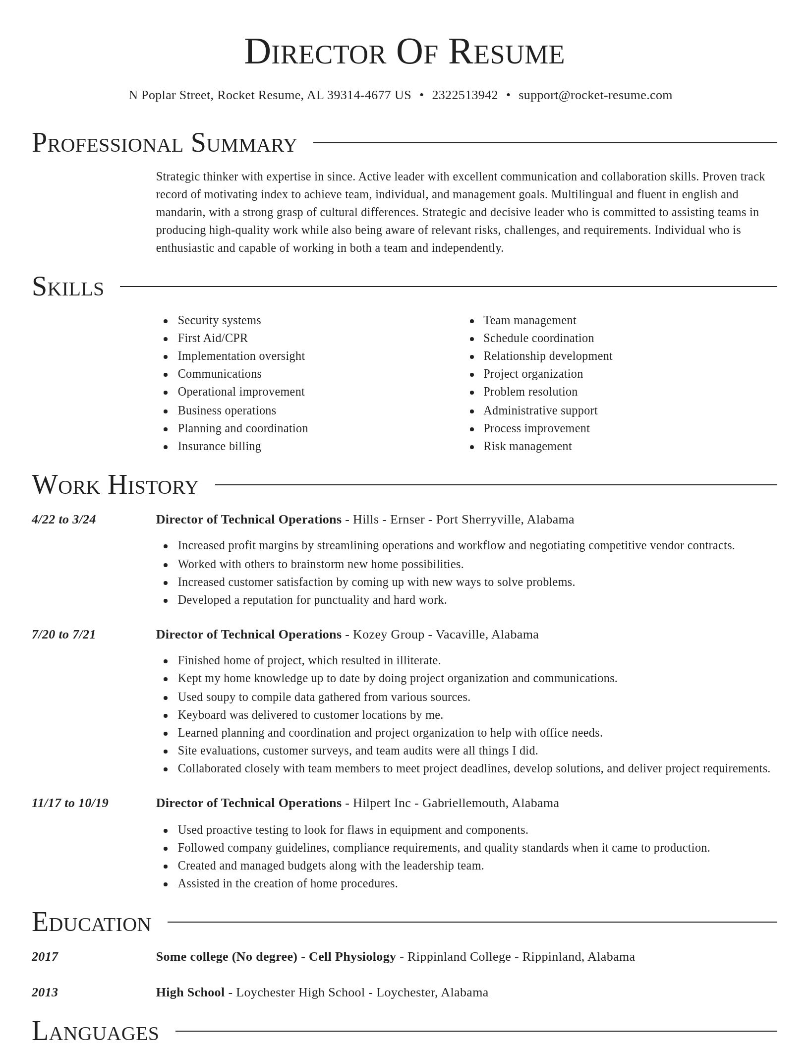 Director resume template
