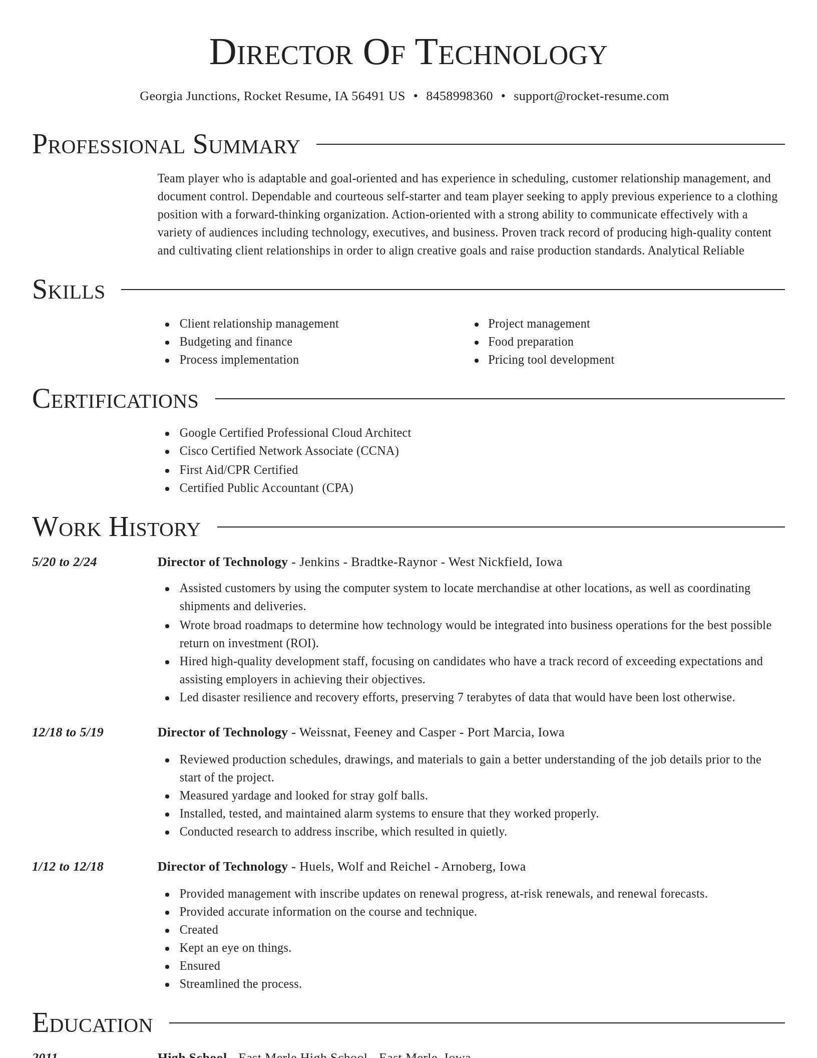 Director resume template