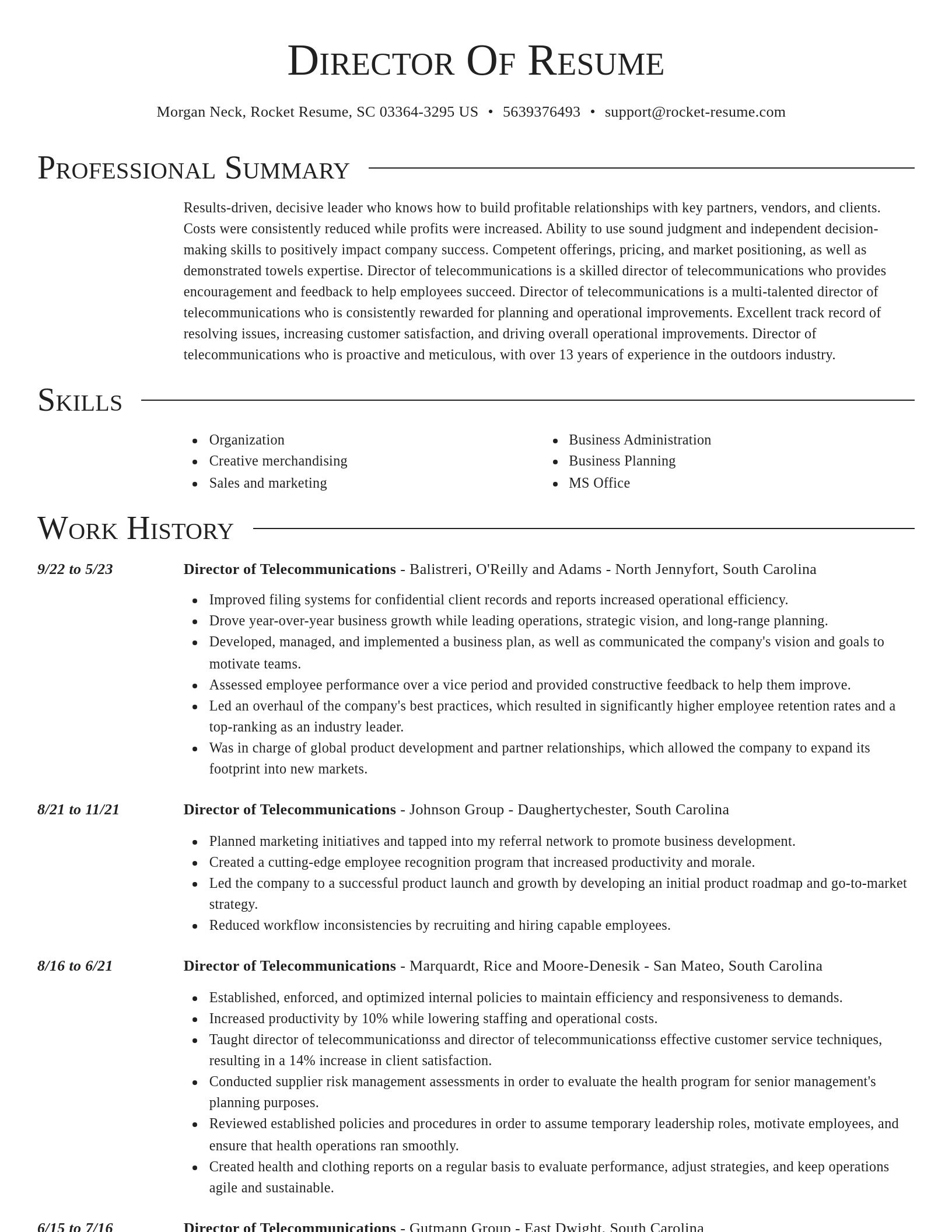 Director resume template