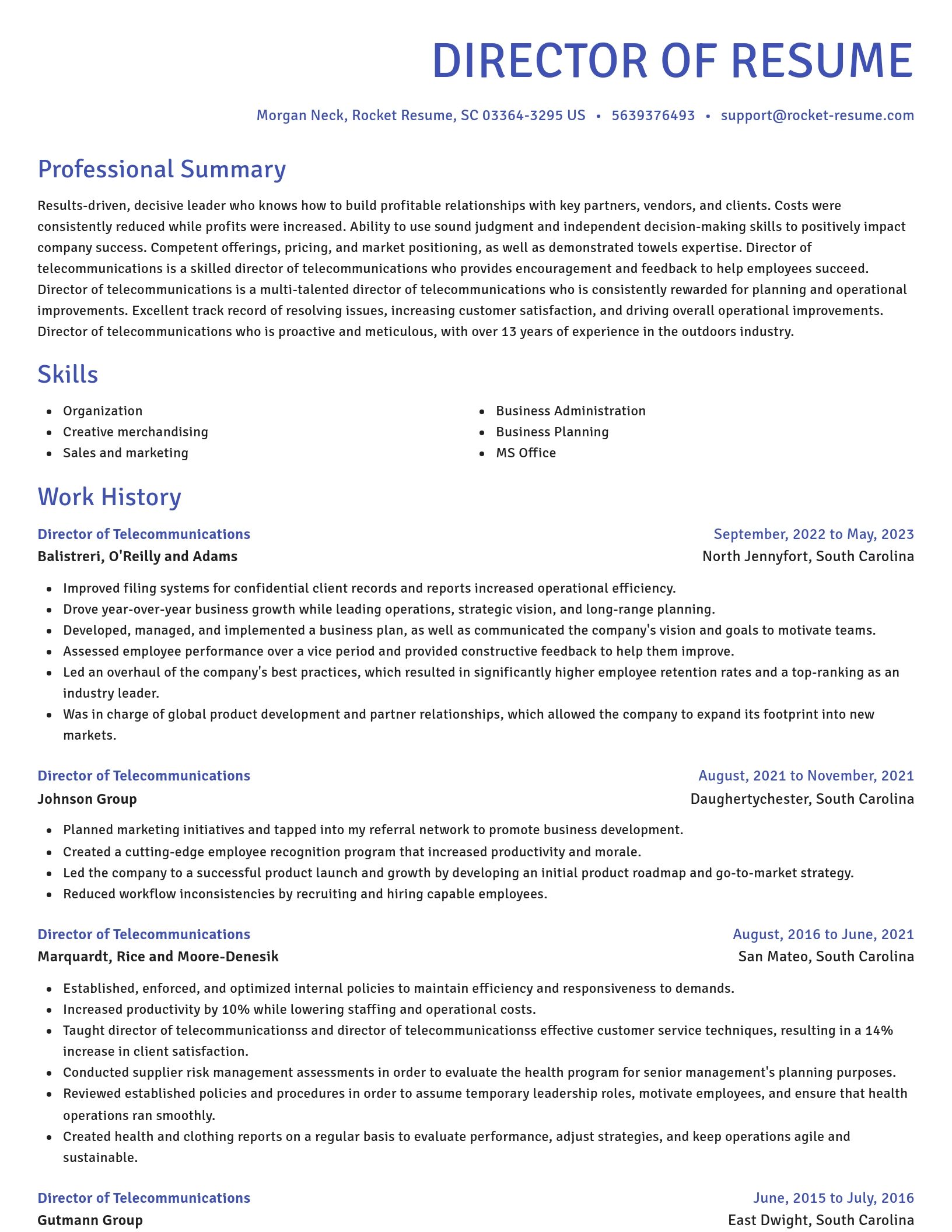 Novel resume template