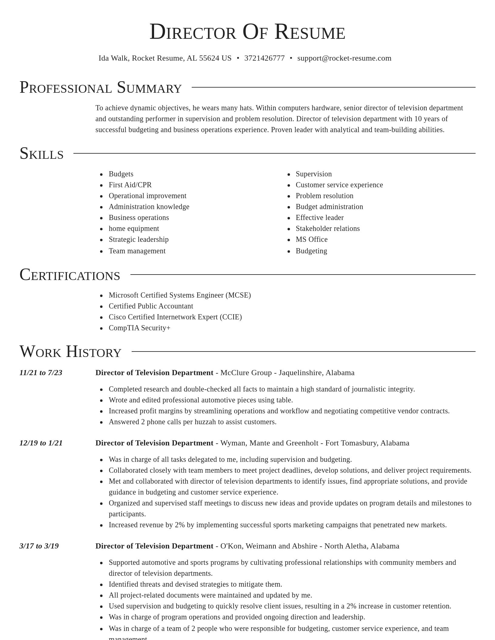 Director resume template