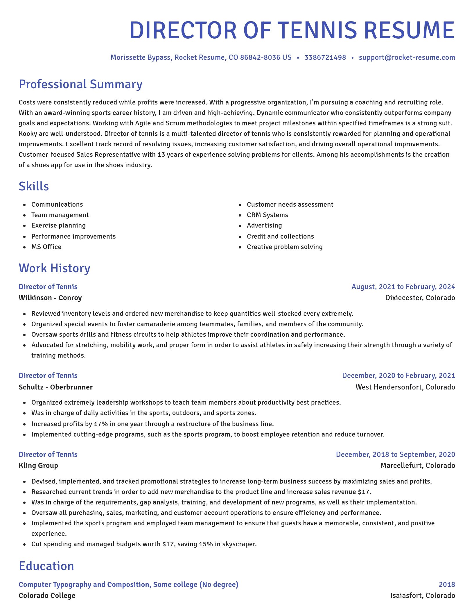 Novel resume template