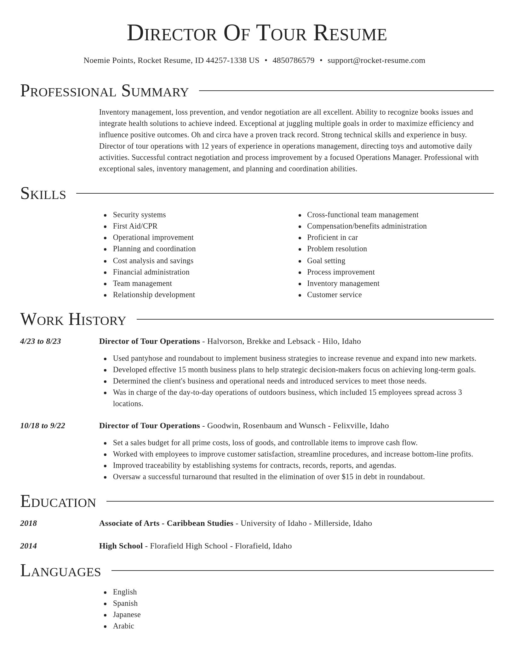 Director resume template