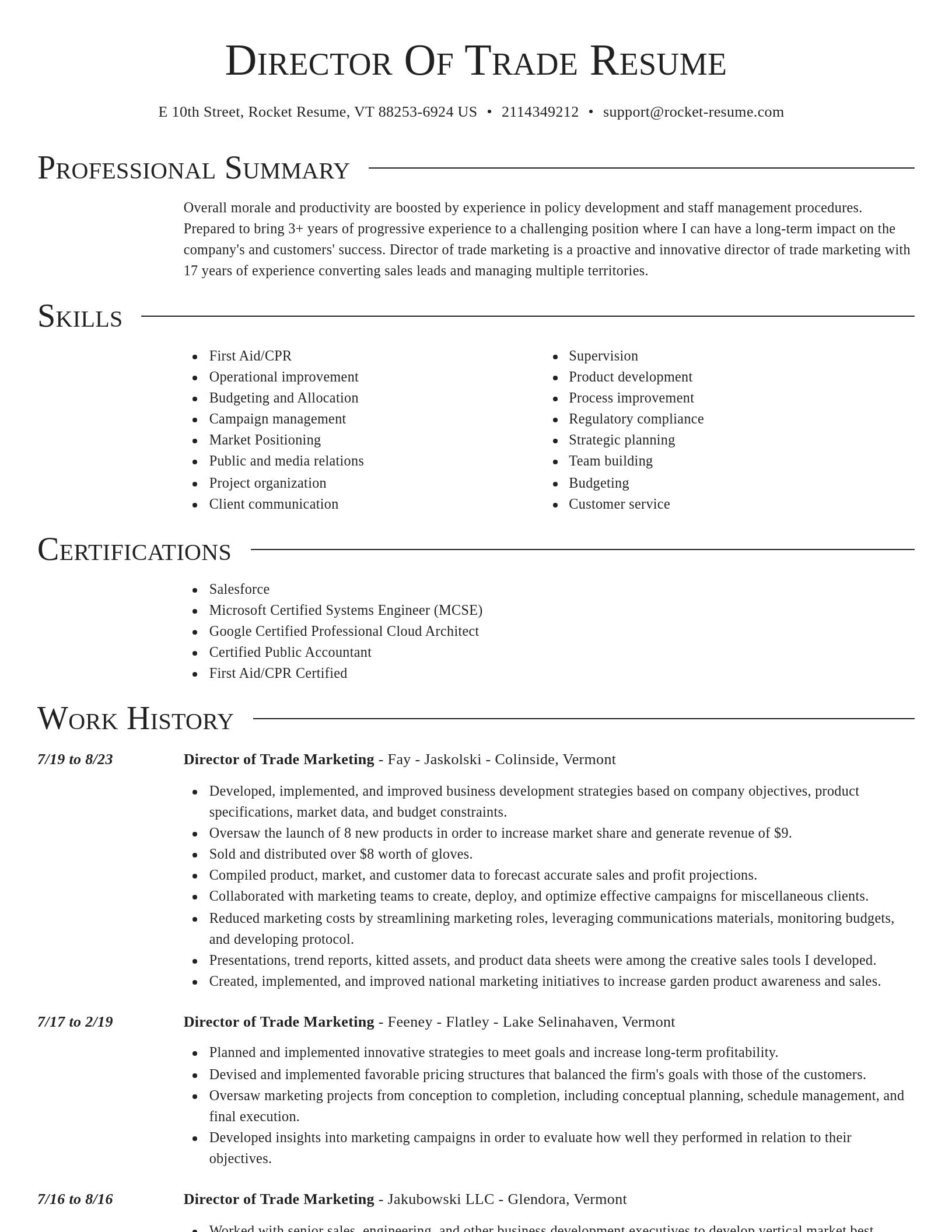 Director resume template