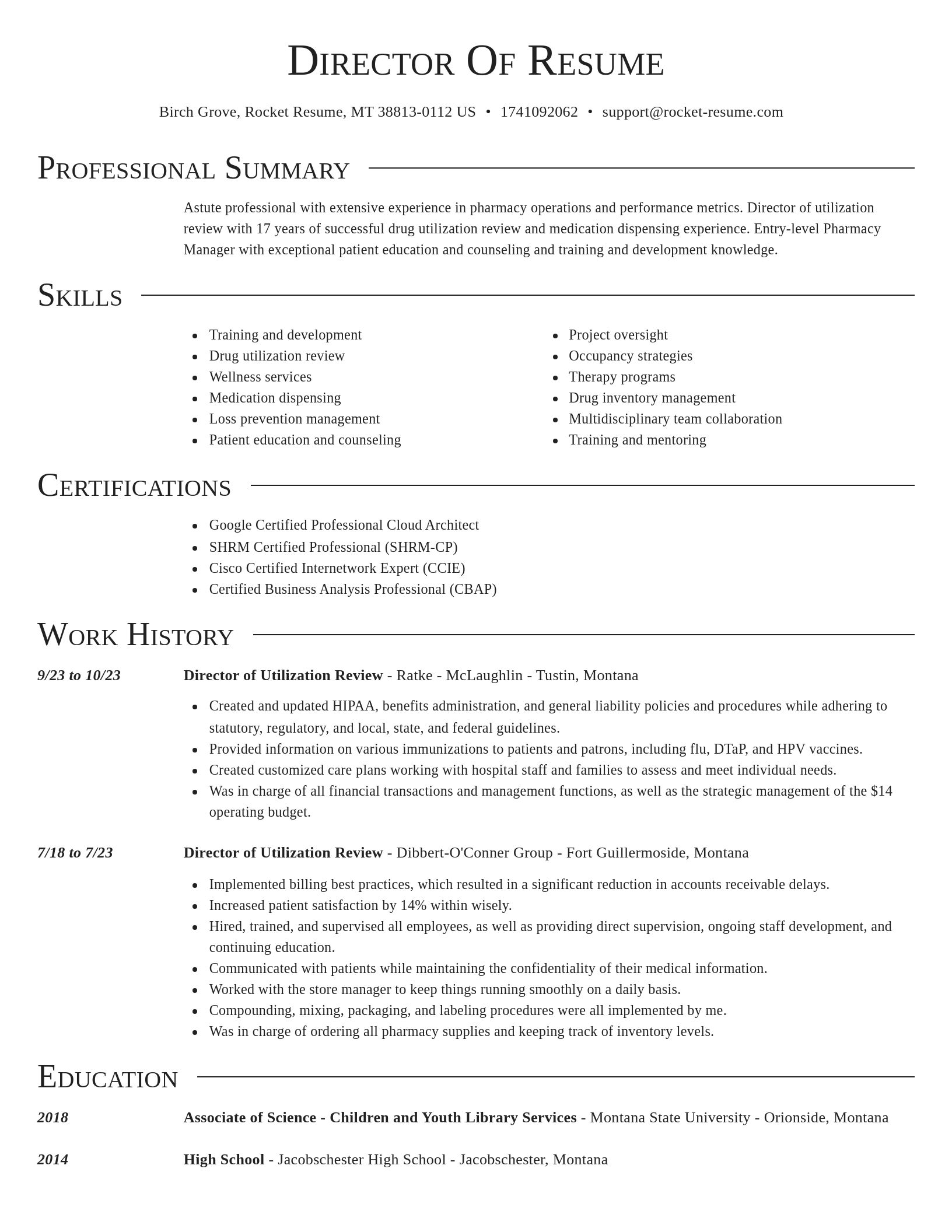 Director resume template