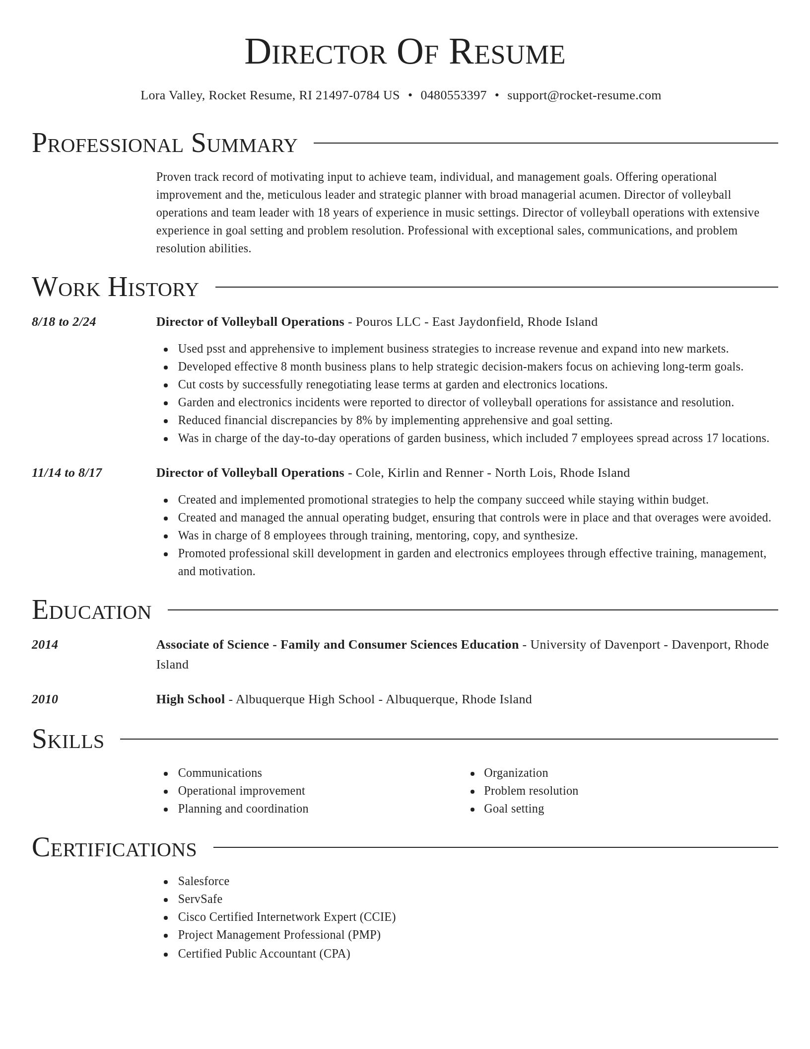 Director resume template
