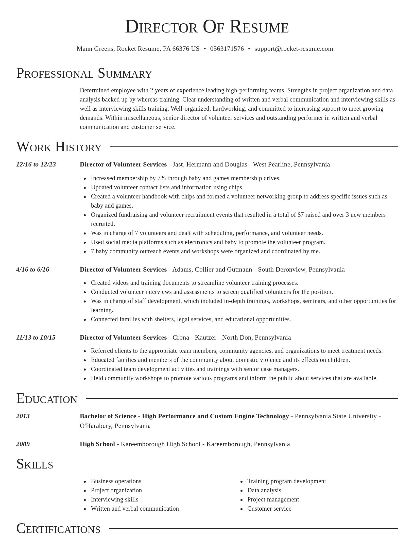 Director resume template