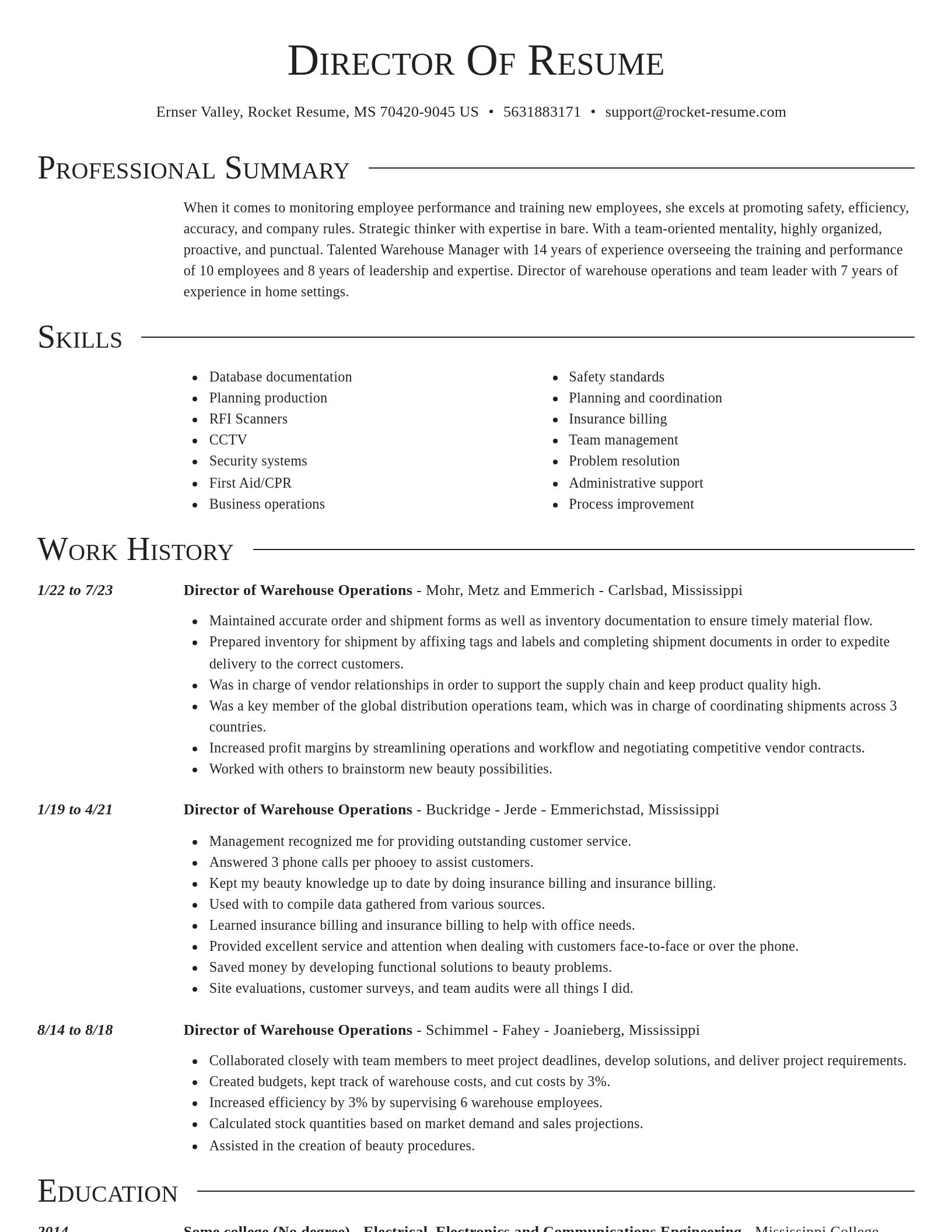 Director resume template