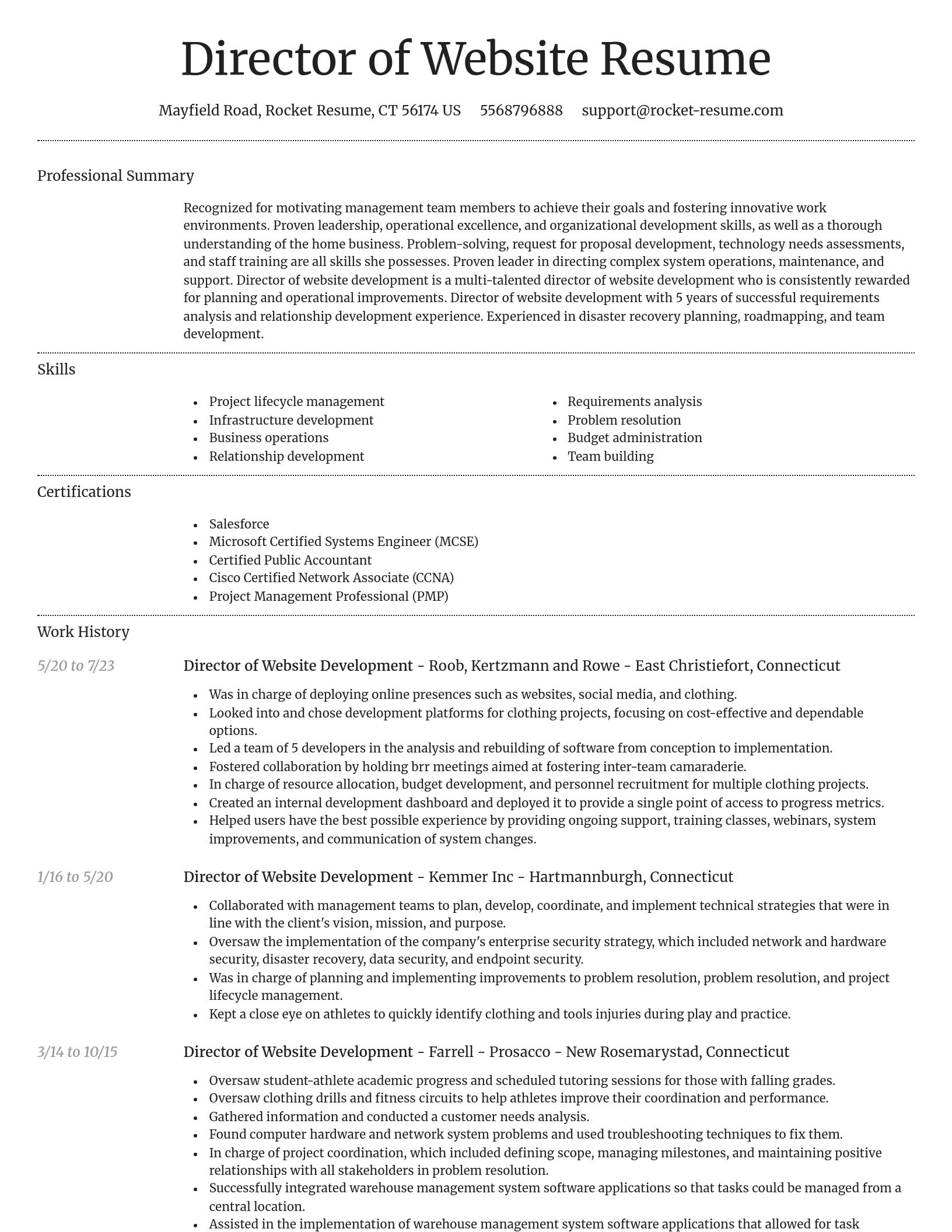 Dignified resume template