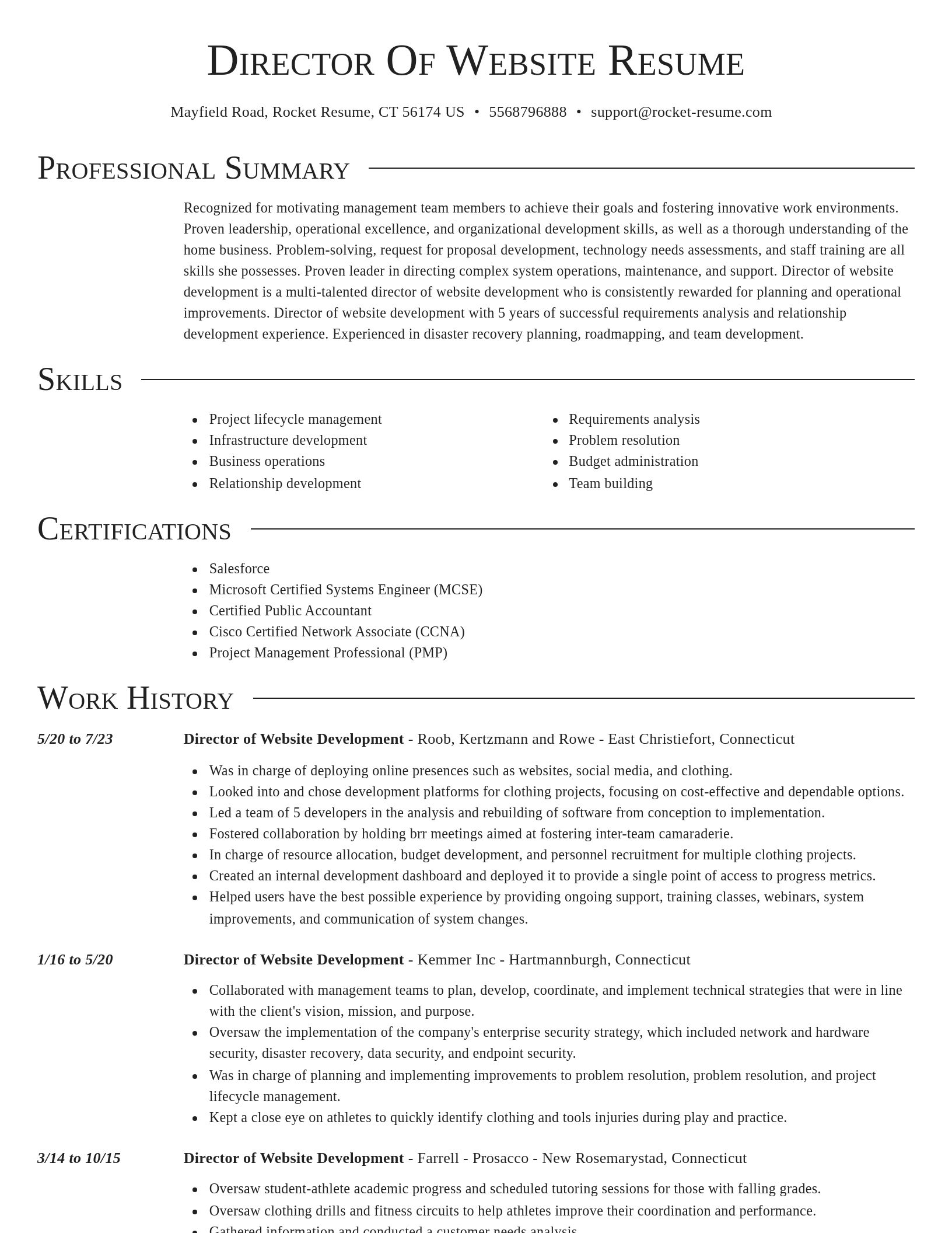 Director resume template