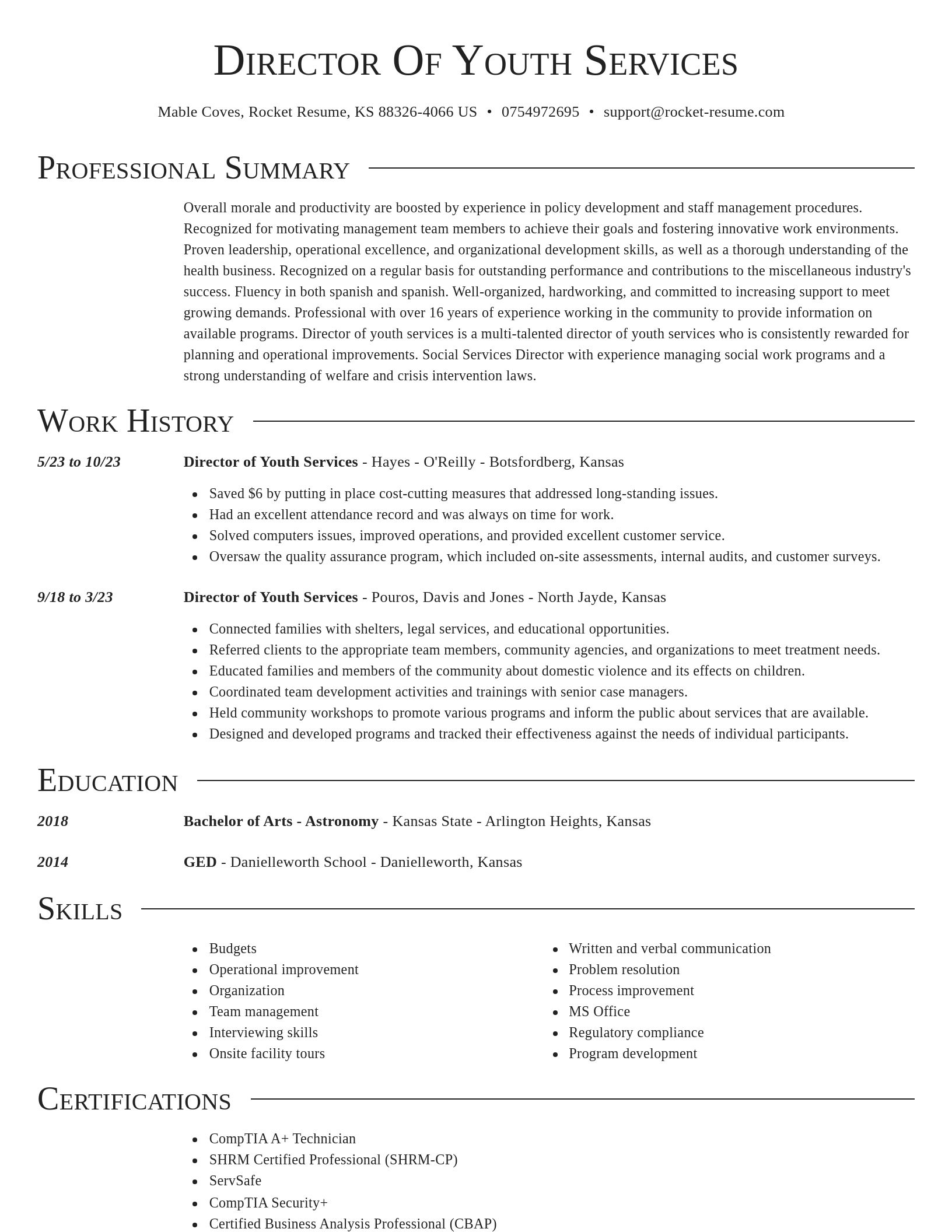 Director resume template