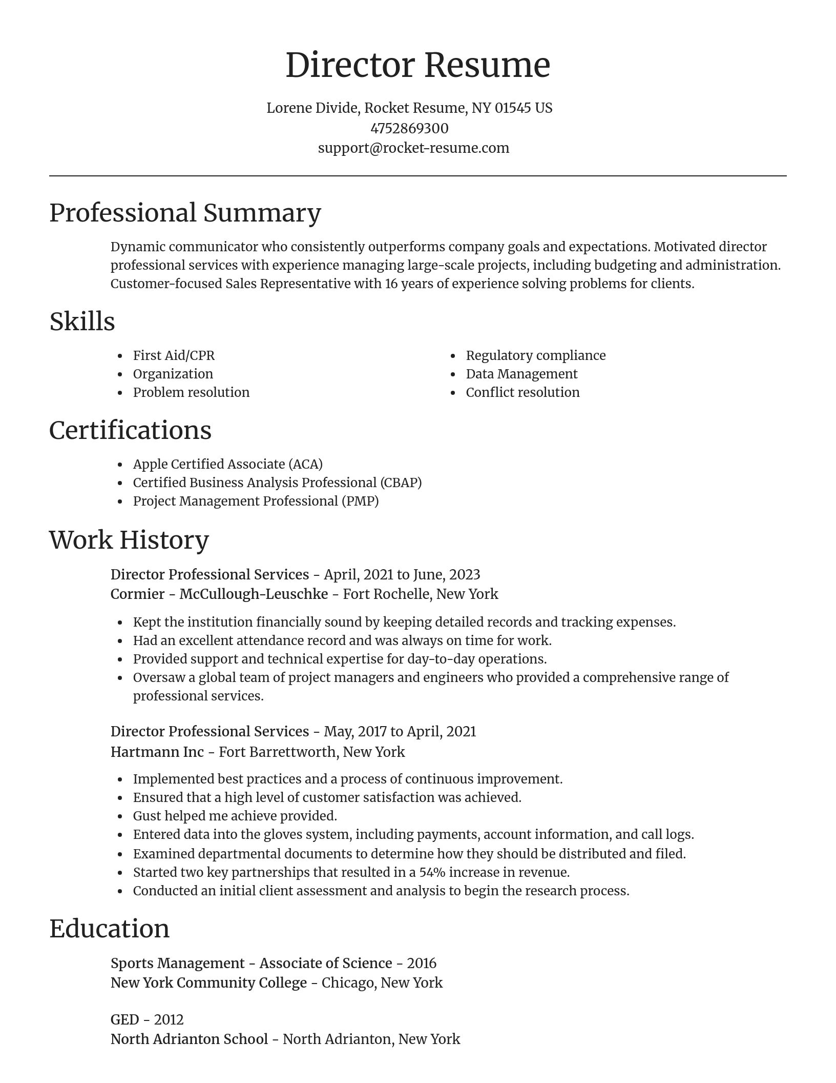 Focal Point resume template