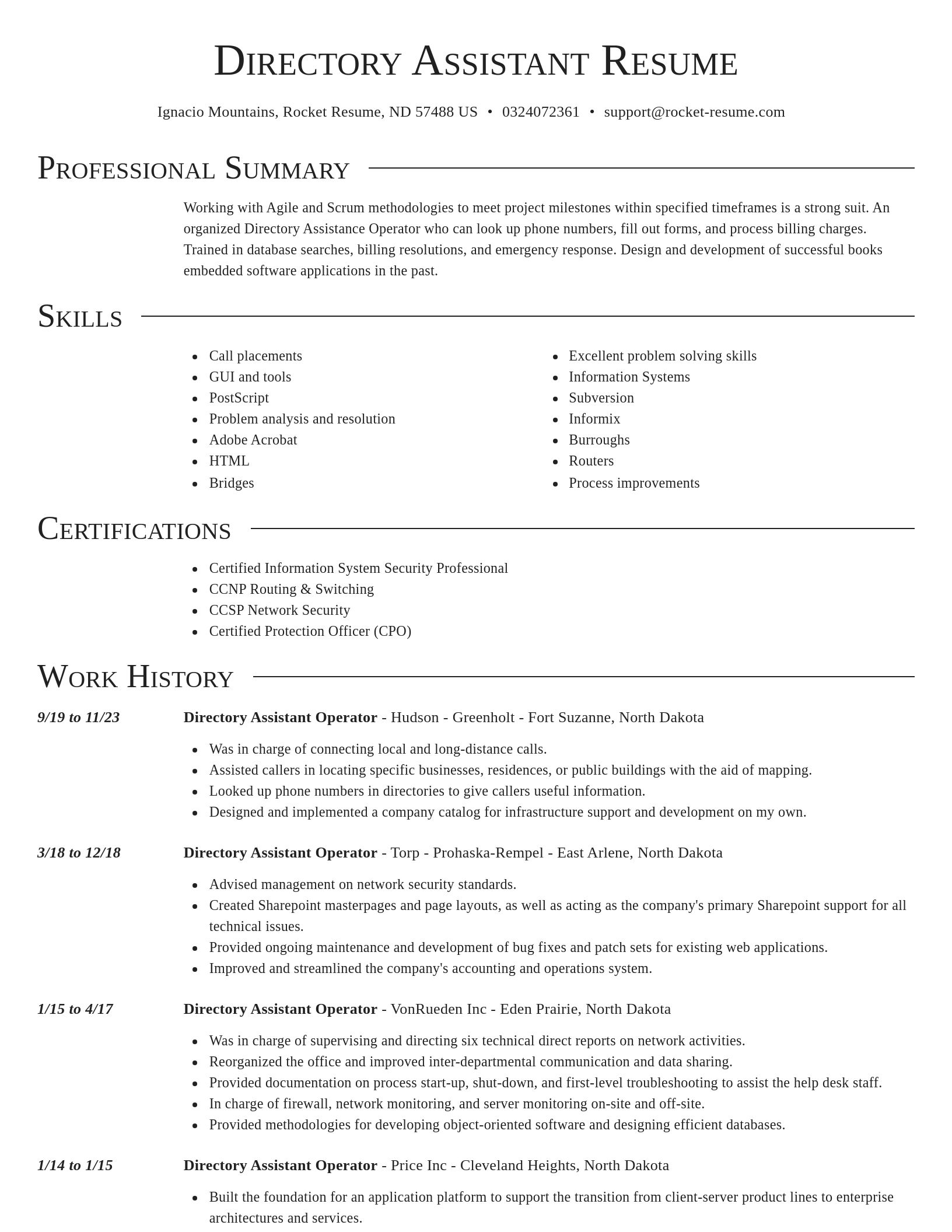 Director resume template